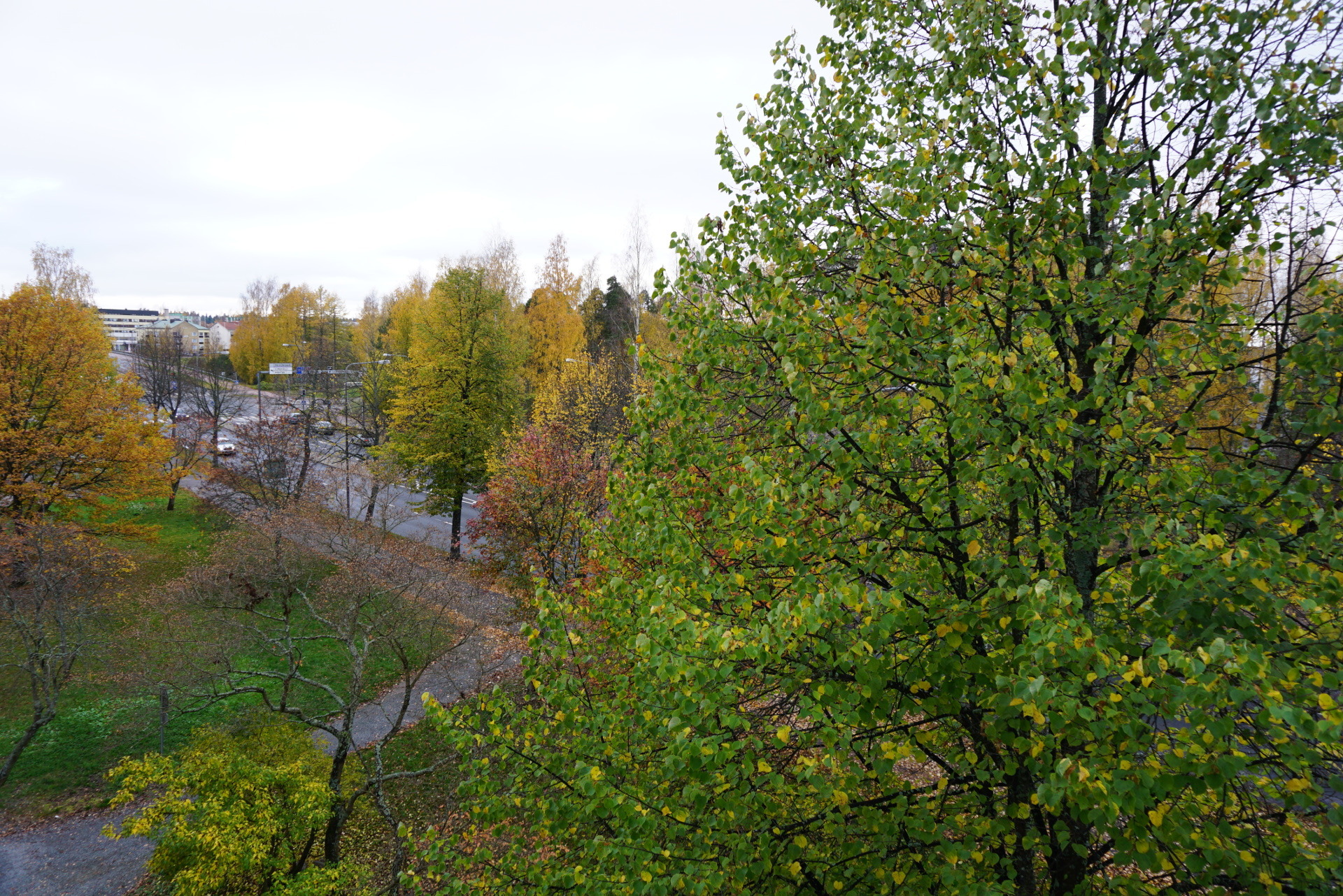 Evantori 6, Päiviönsaari, Varkaus