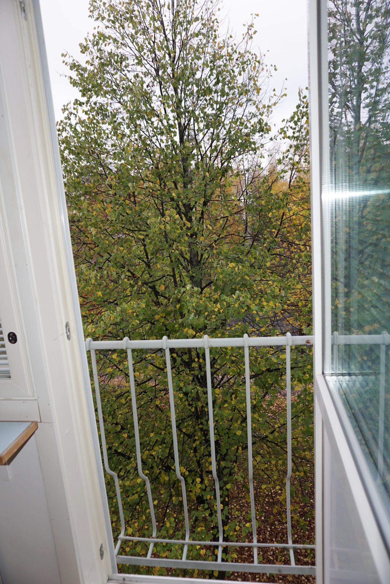 Evantori 6, Päiviönsaari, Varkaus