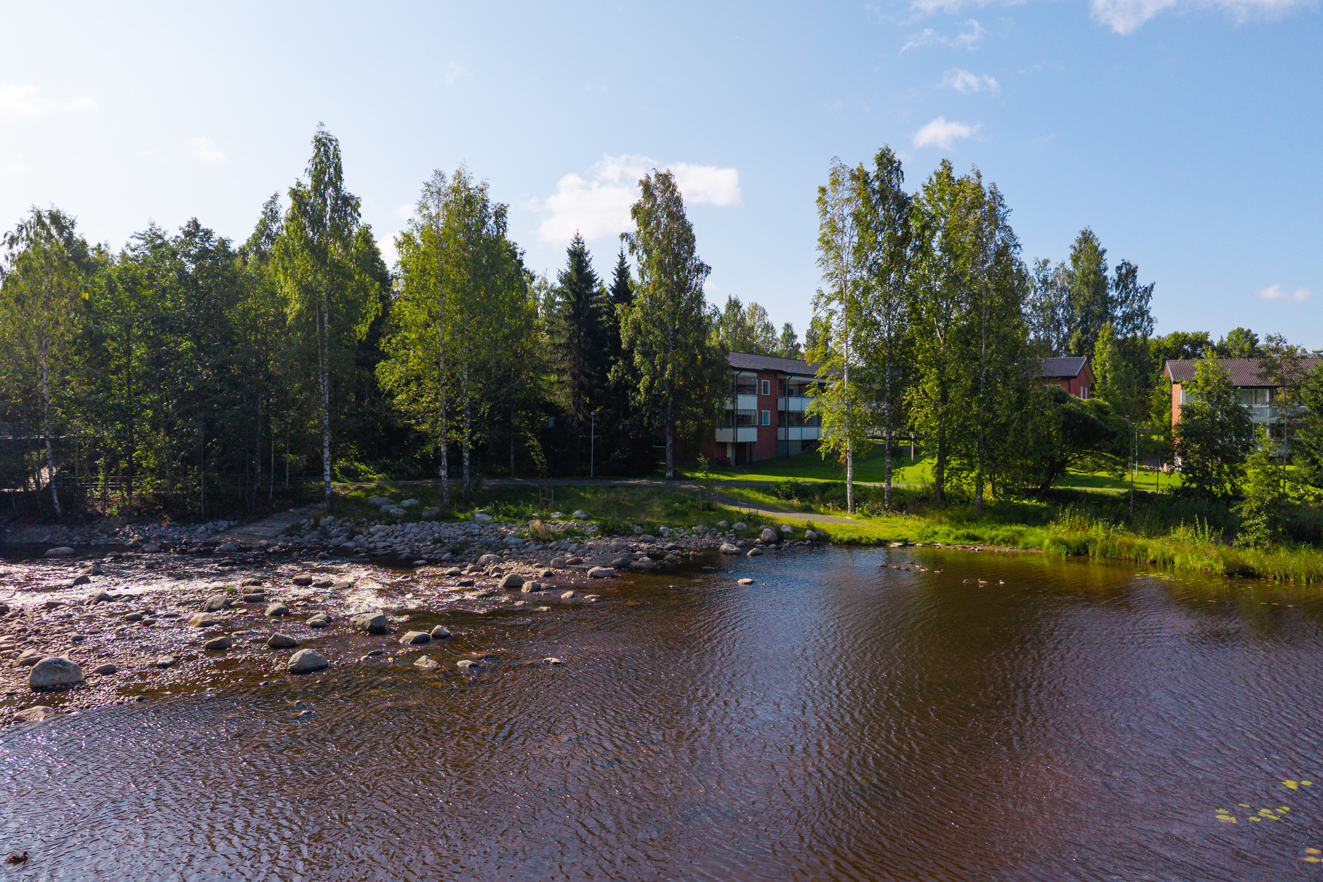 Tourujoki