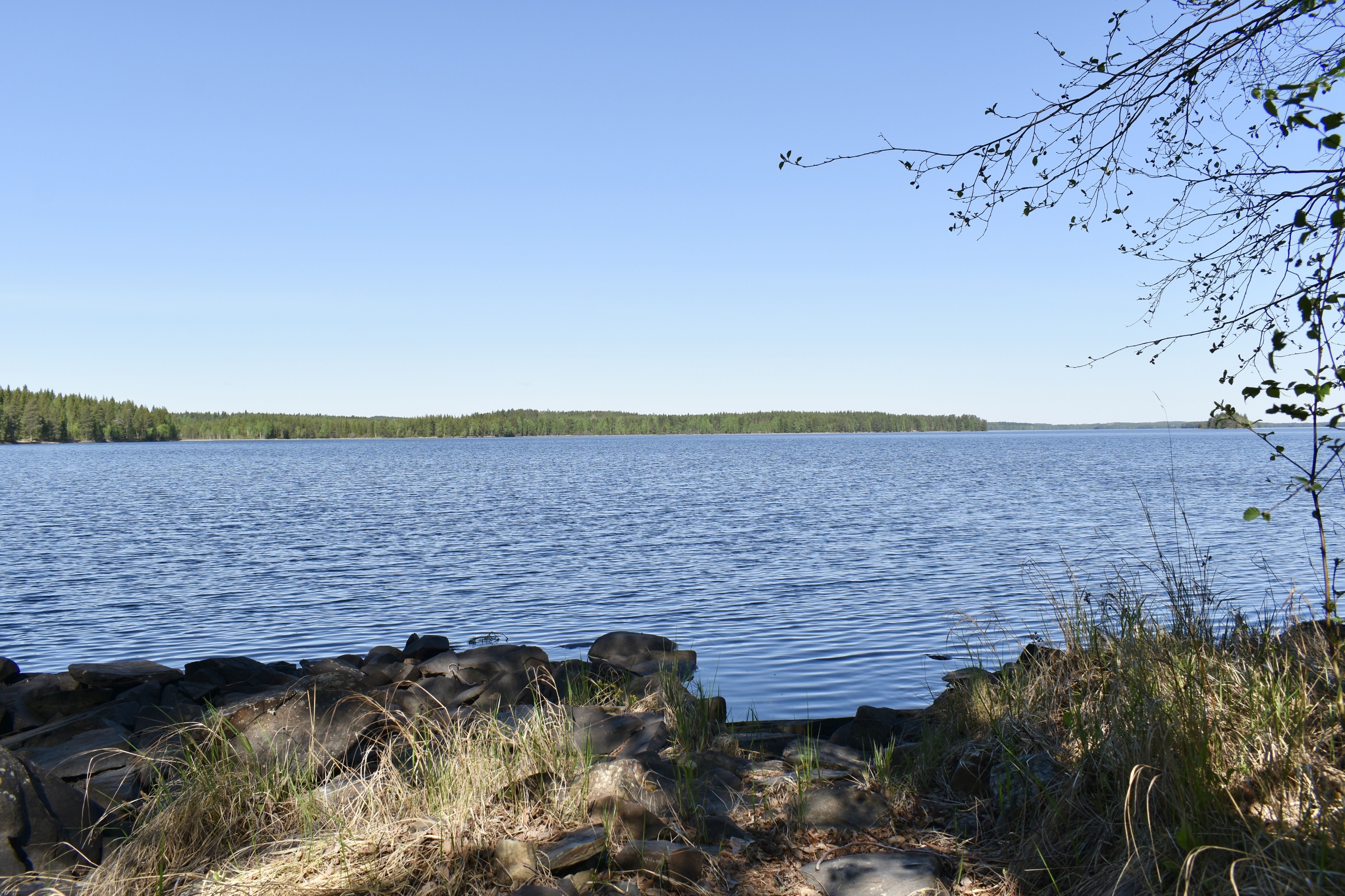 Kultarannantie , Sotkamo