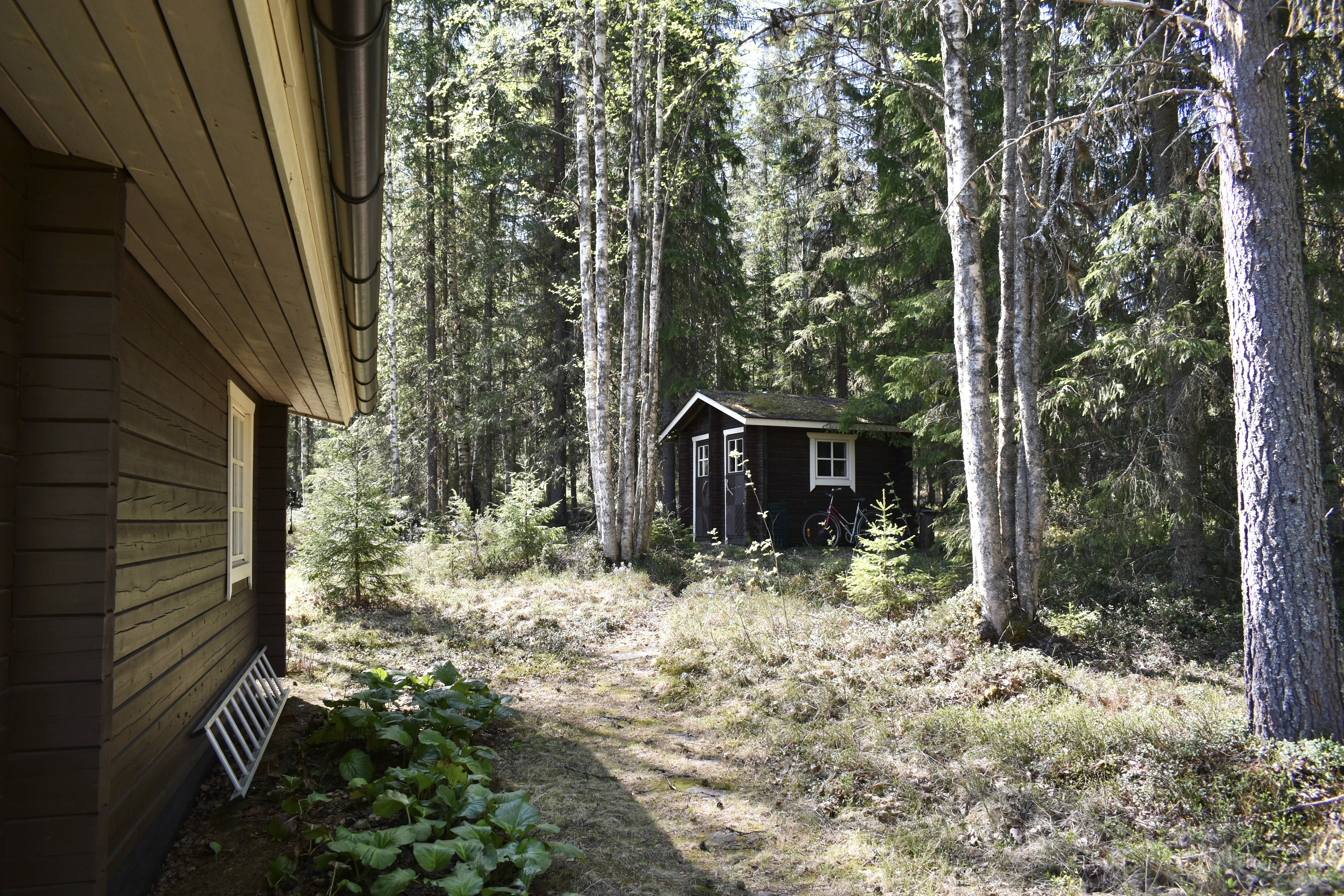 Kultarannantie , Sotkamo