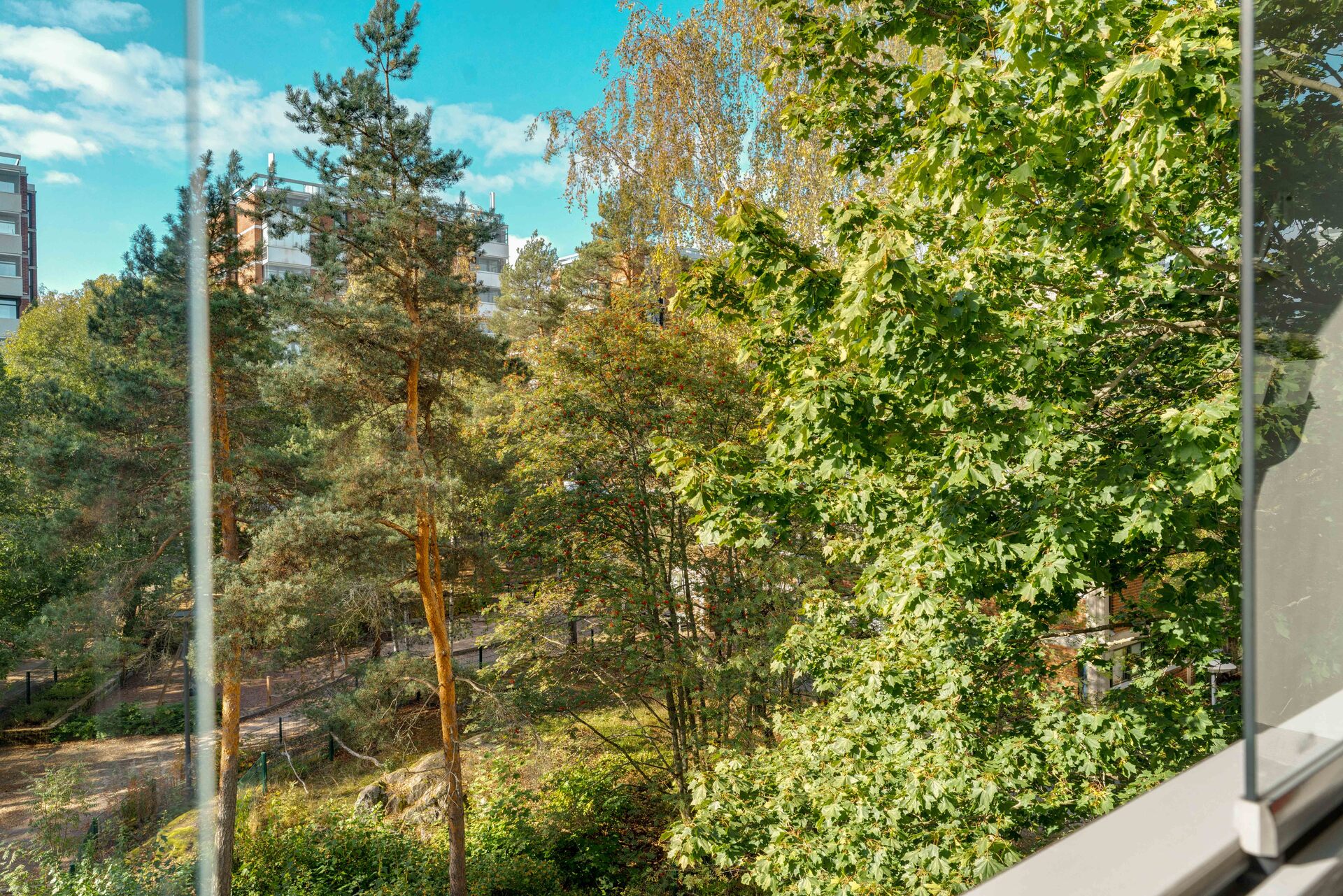 Kaunista kesäistä luontomaisemaa.