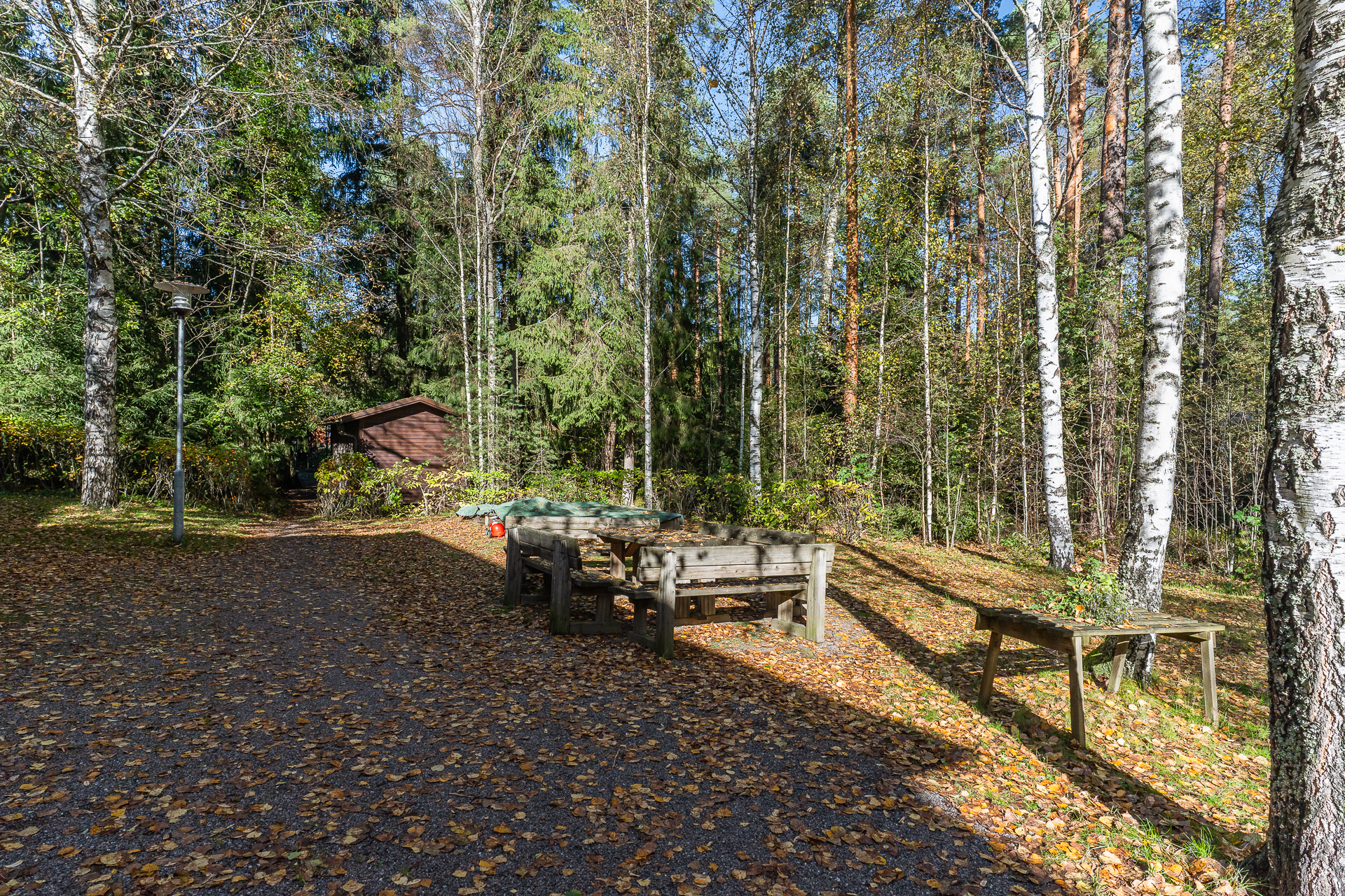 Taloyhtiön pihaa