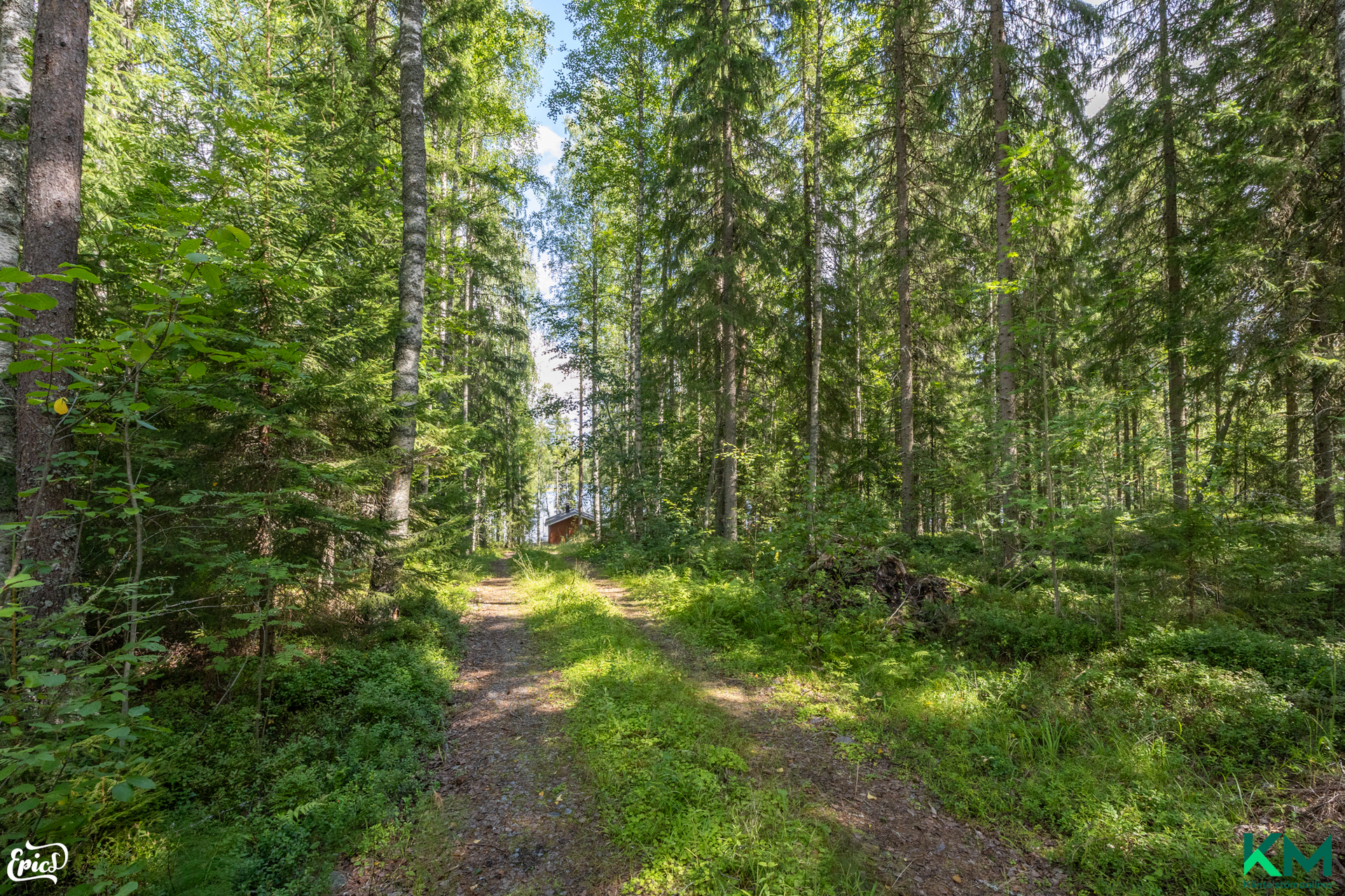 Pihlajamäentie 175, Kaidankylä, Ylöjärvi