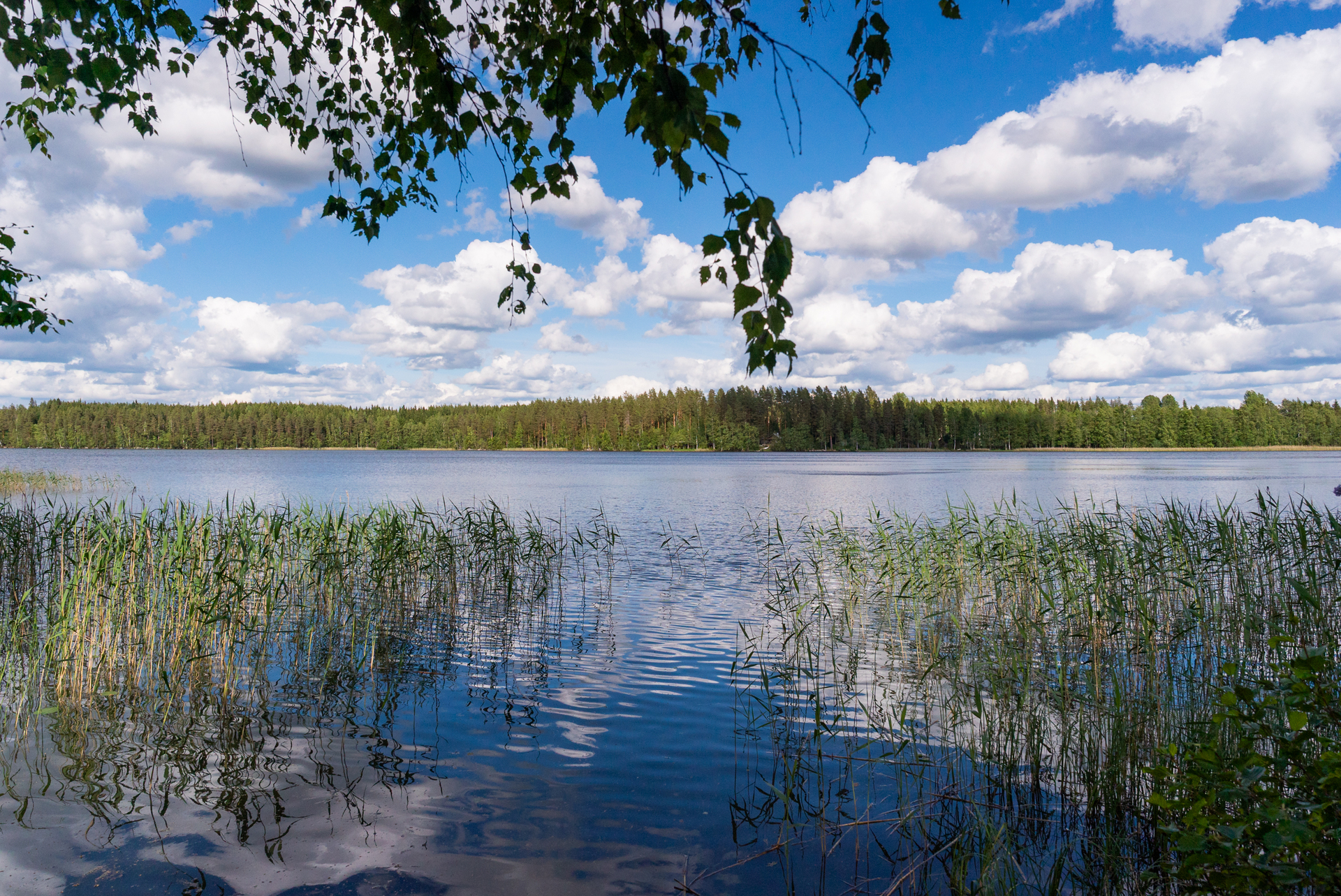 Humalajärventie 99, Toivakka