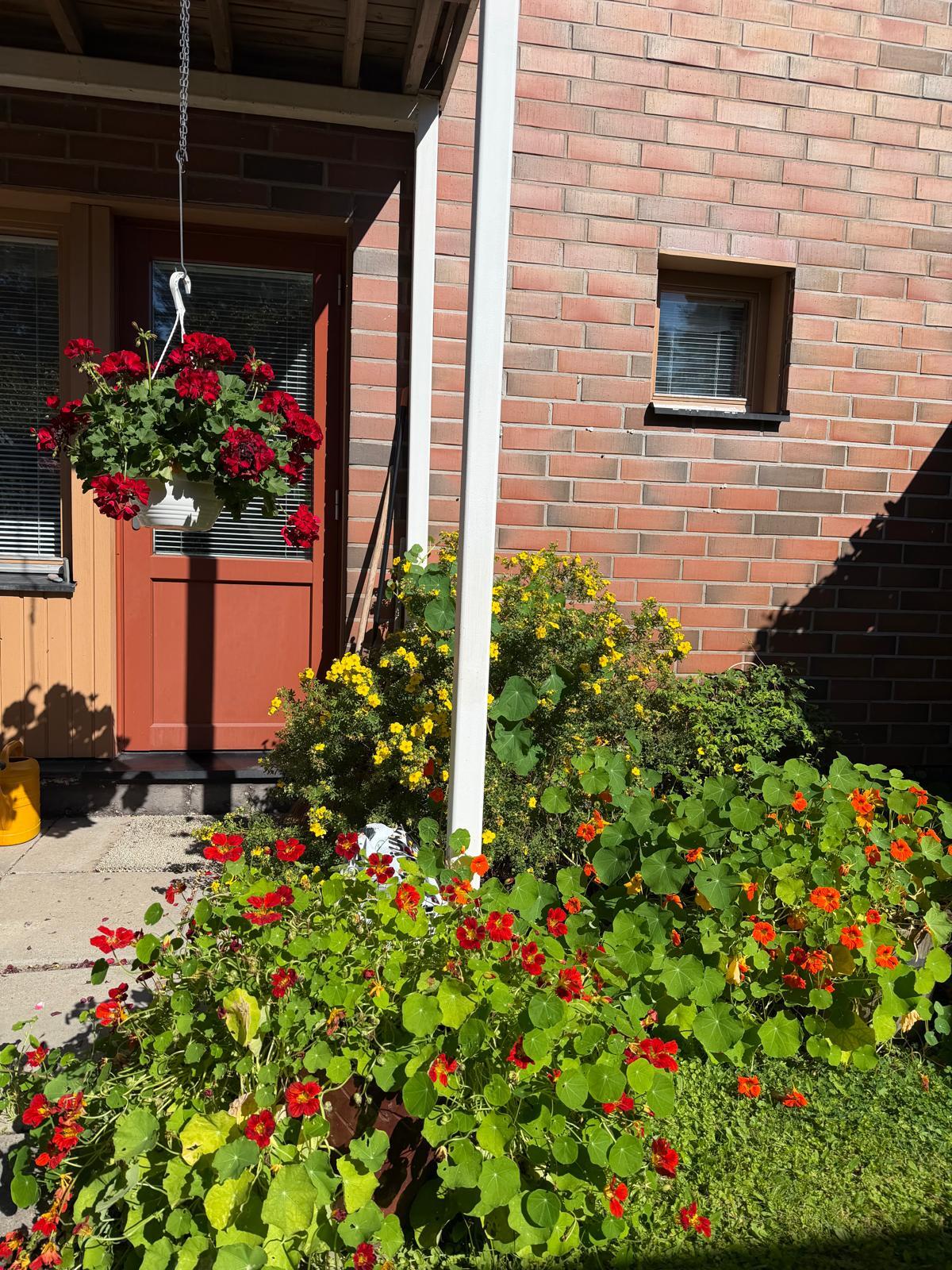 Rantakatu 1, Taipale, Varkaus
