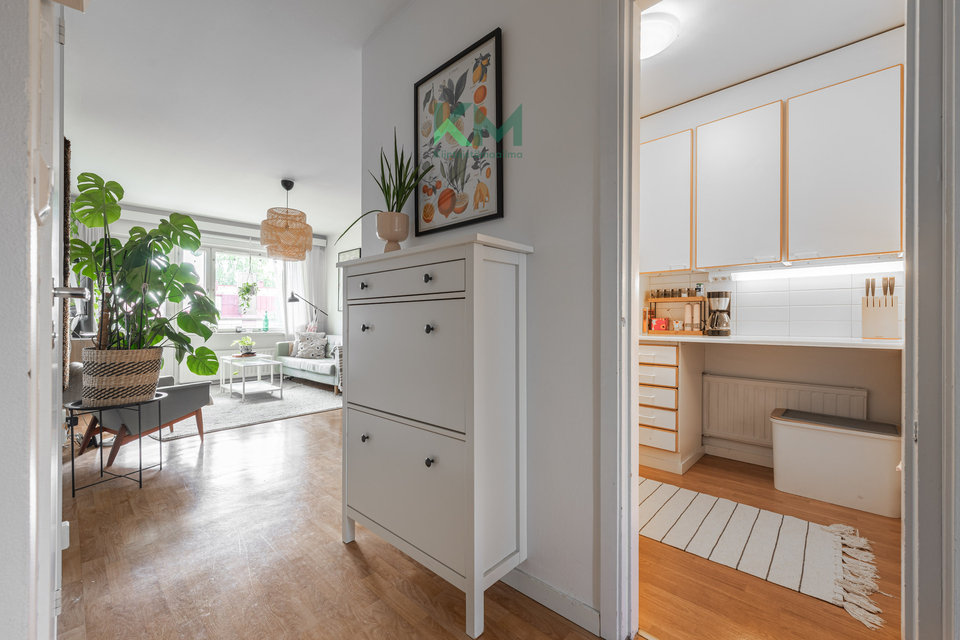 Eteisestä huoneistoon päin