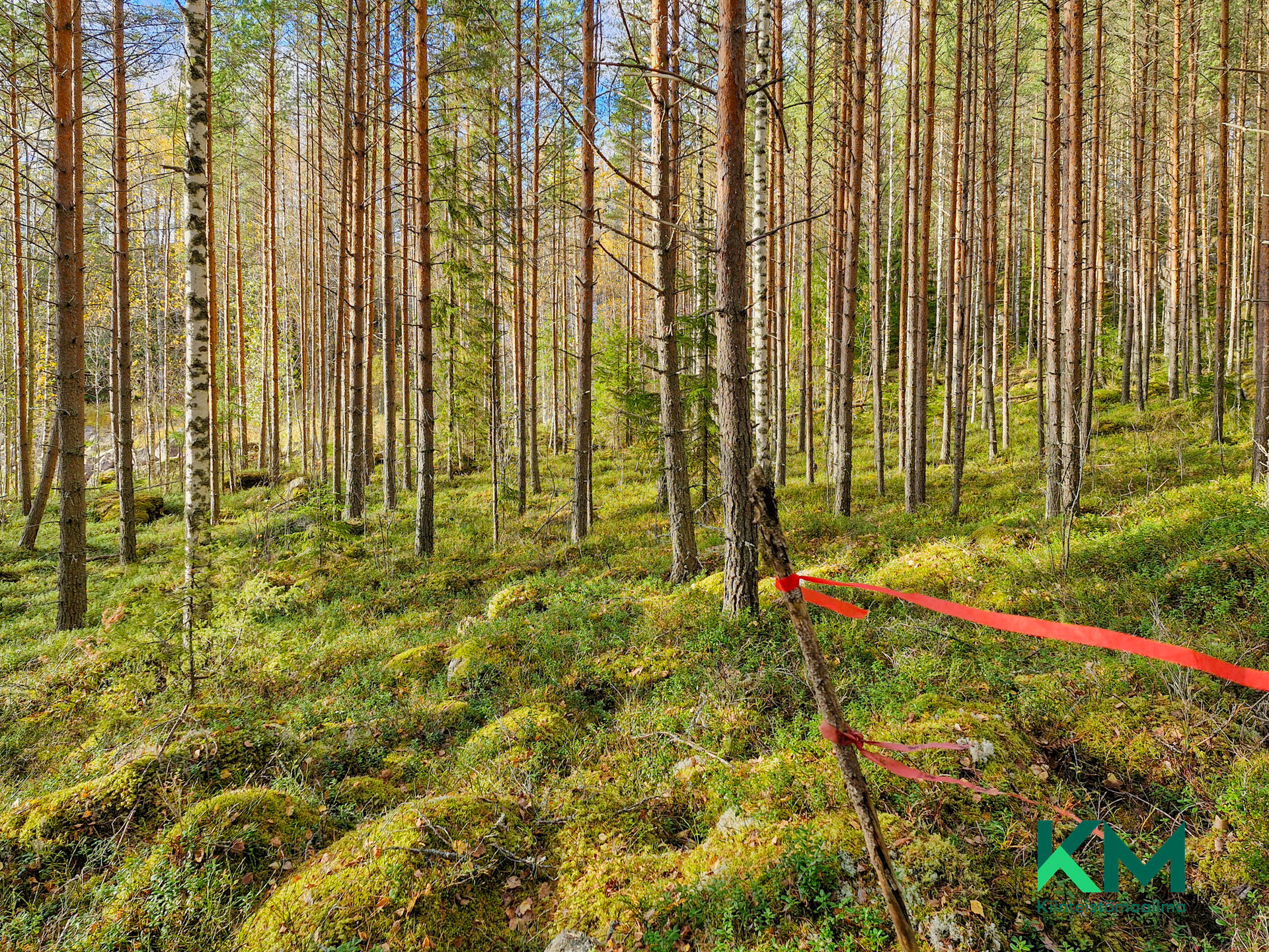 Kiurusalontie , Savonranta, Savonlinna