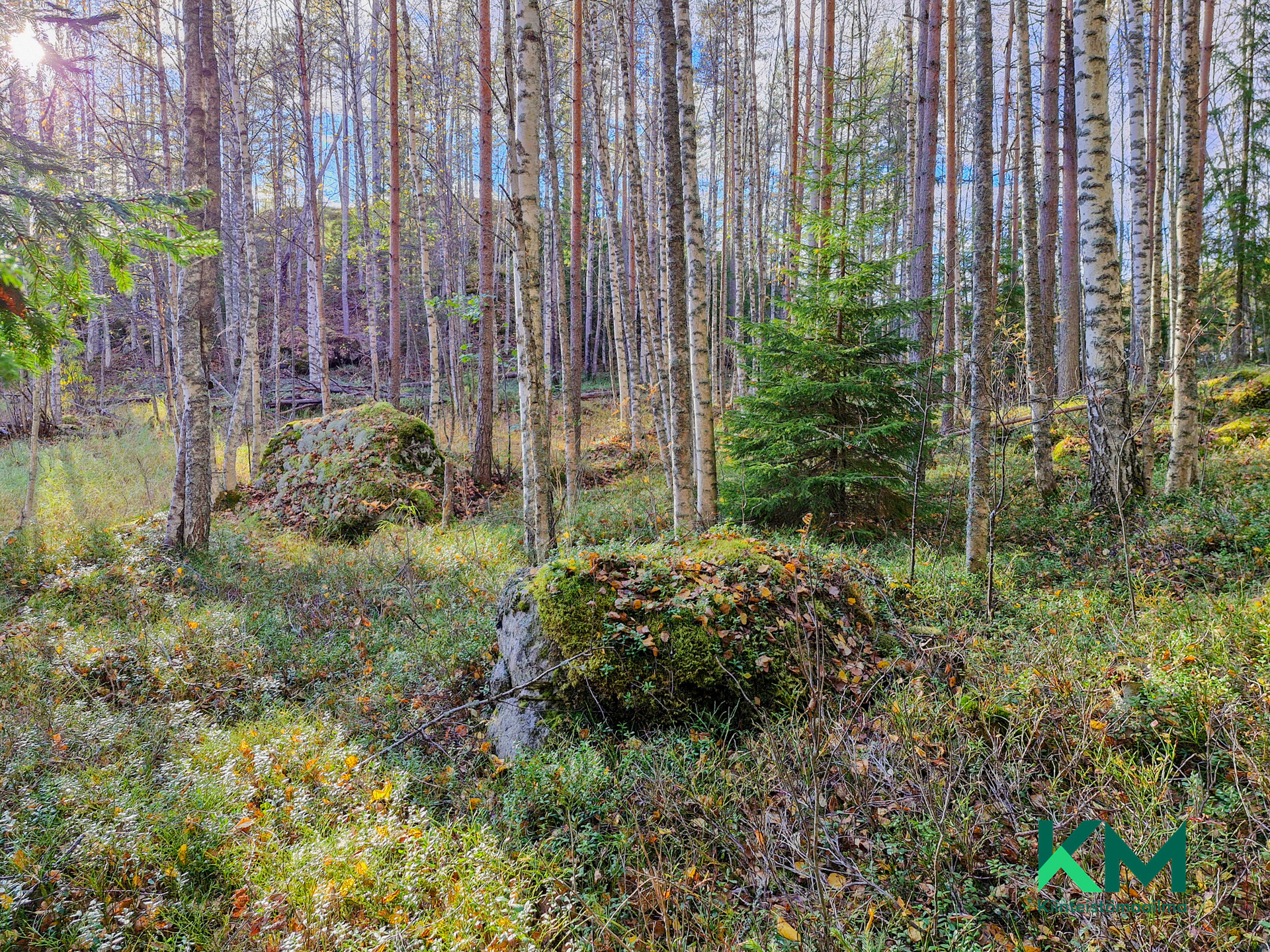 Kiurusalontie , Savonranta, Savonlinna