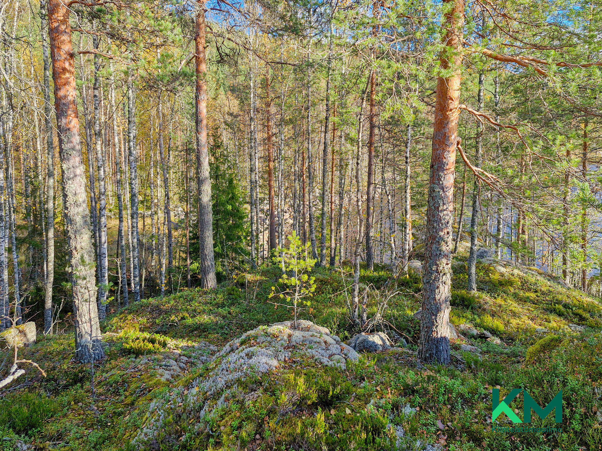 Kiurusalontie , Savonranta, Savonlinna
