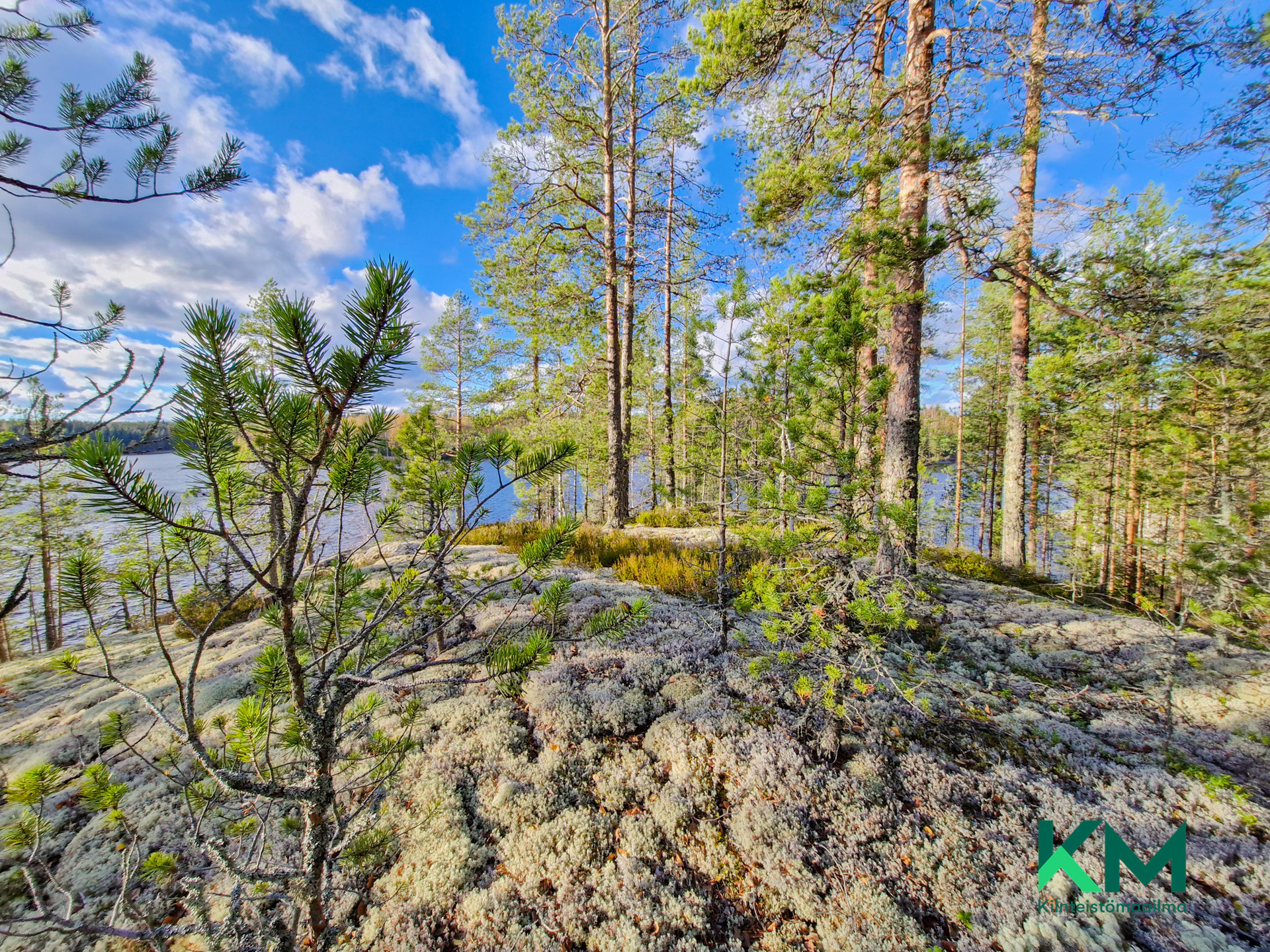 Kiurusalontie , Savonranta, Savonlinna