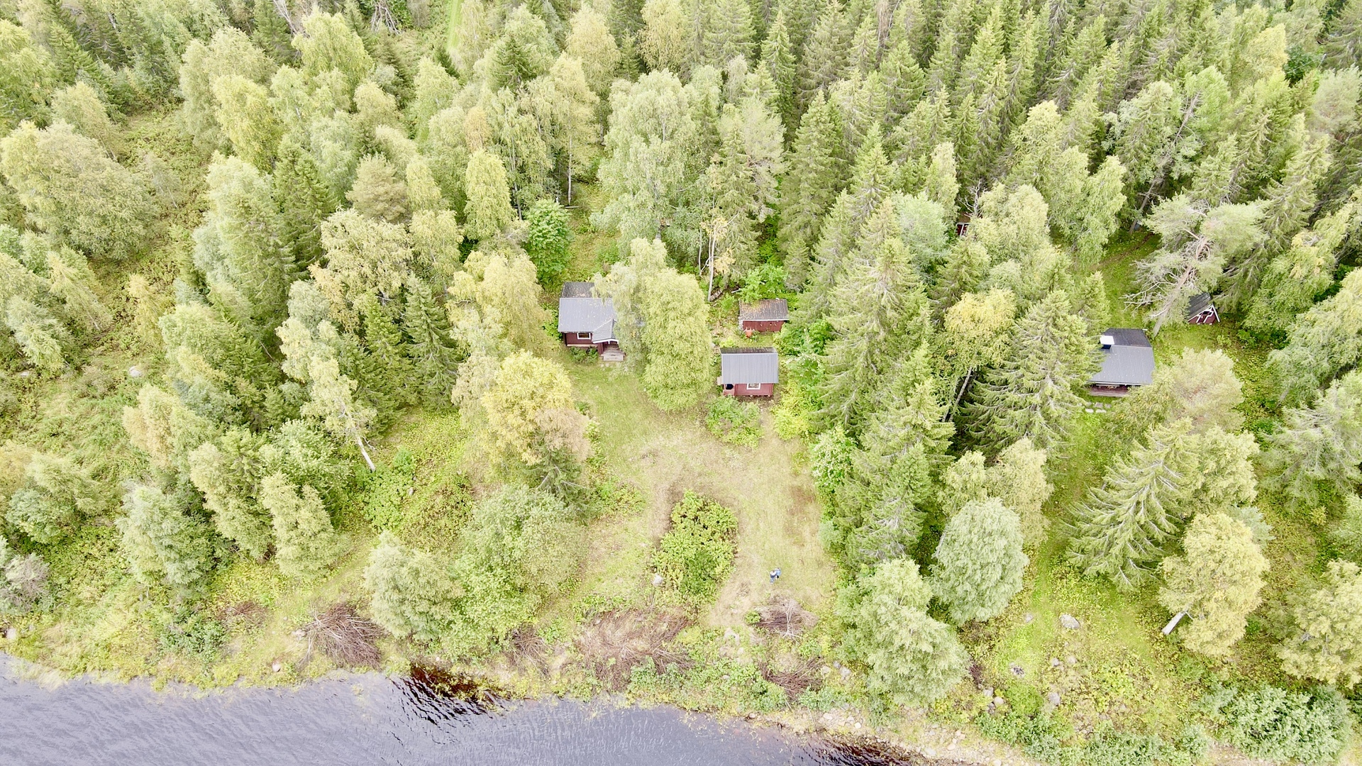 Puustoinen ympäristö
