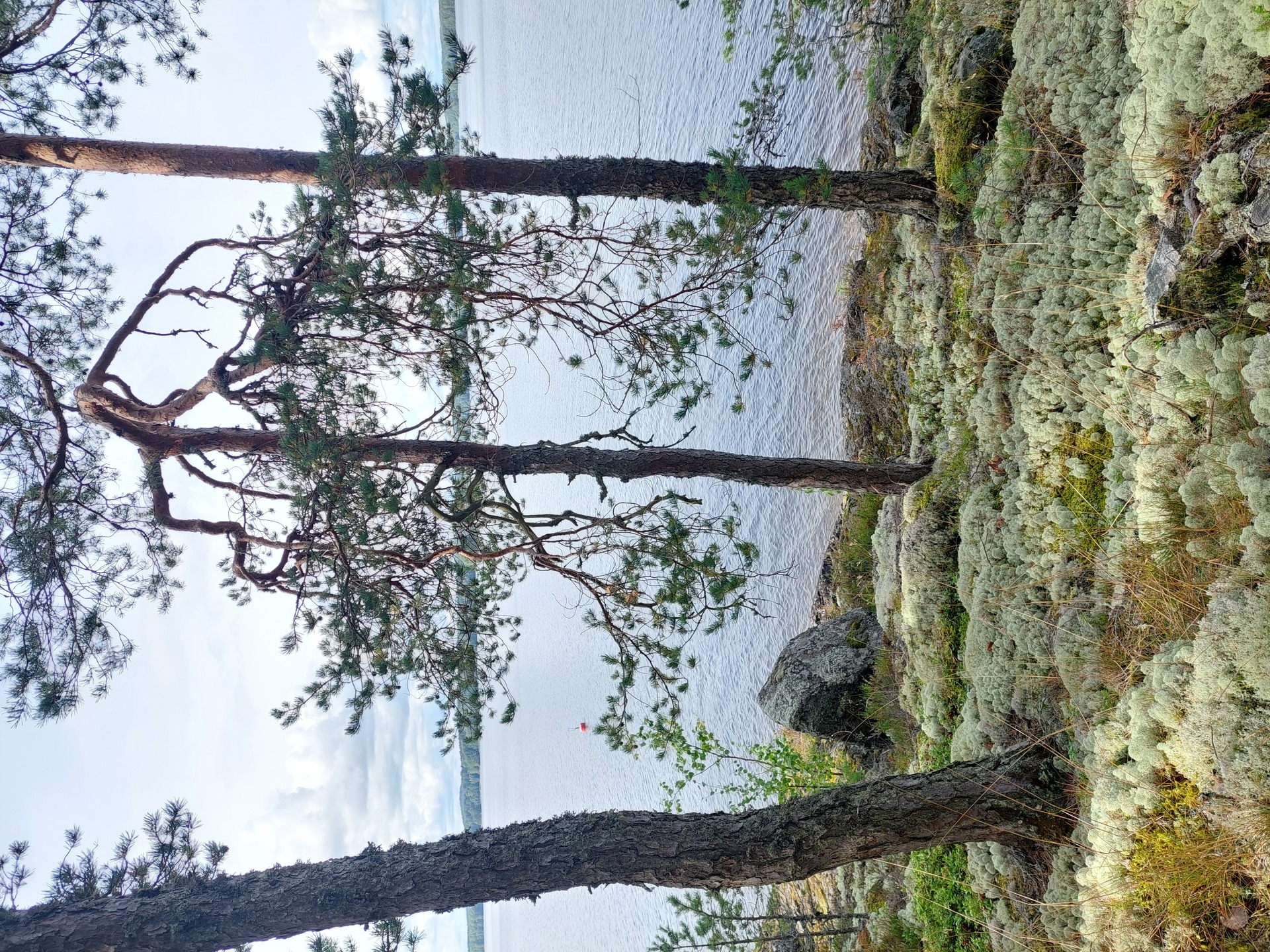 Kallioistentie 176, Padasjoki