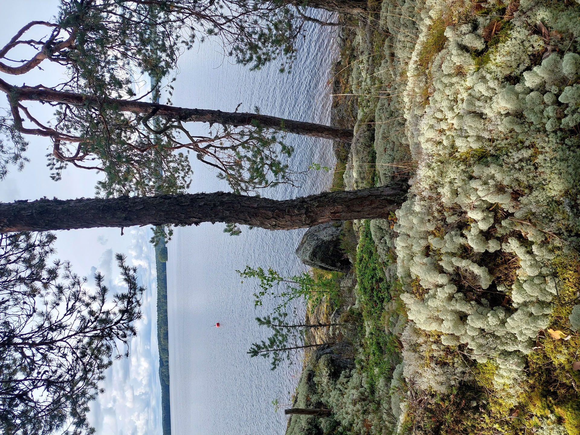 Kallioistentie 176, Padasjoki
