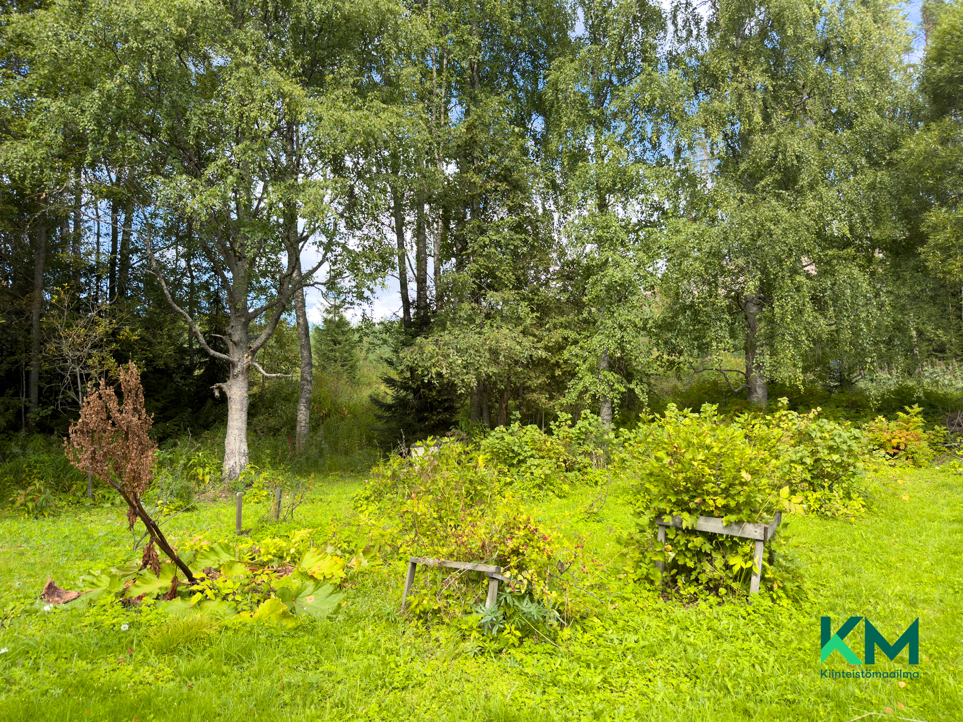 Pölläskyläntie 32, Pihlajalahti, Savonlinna