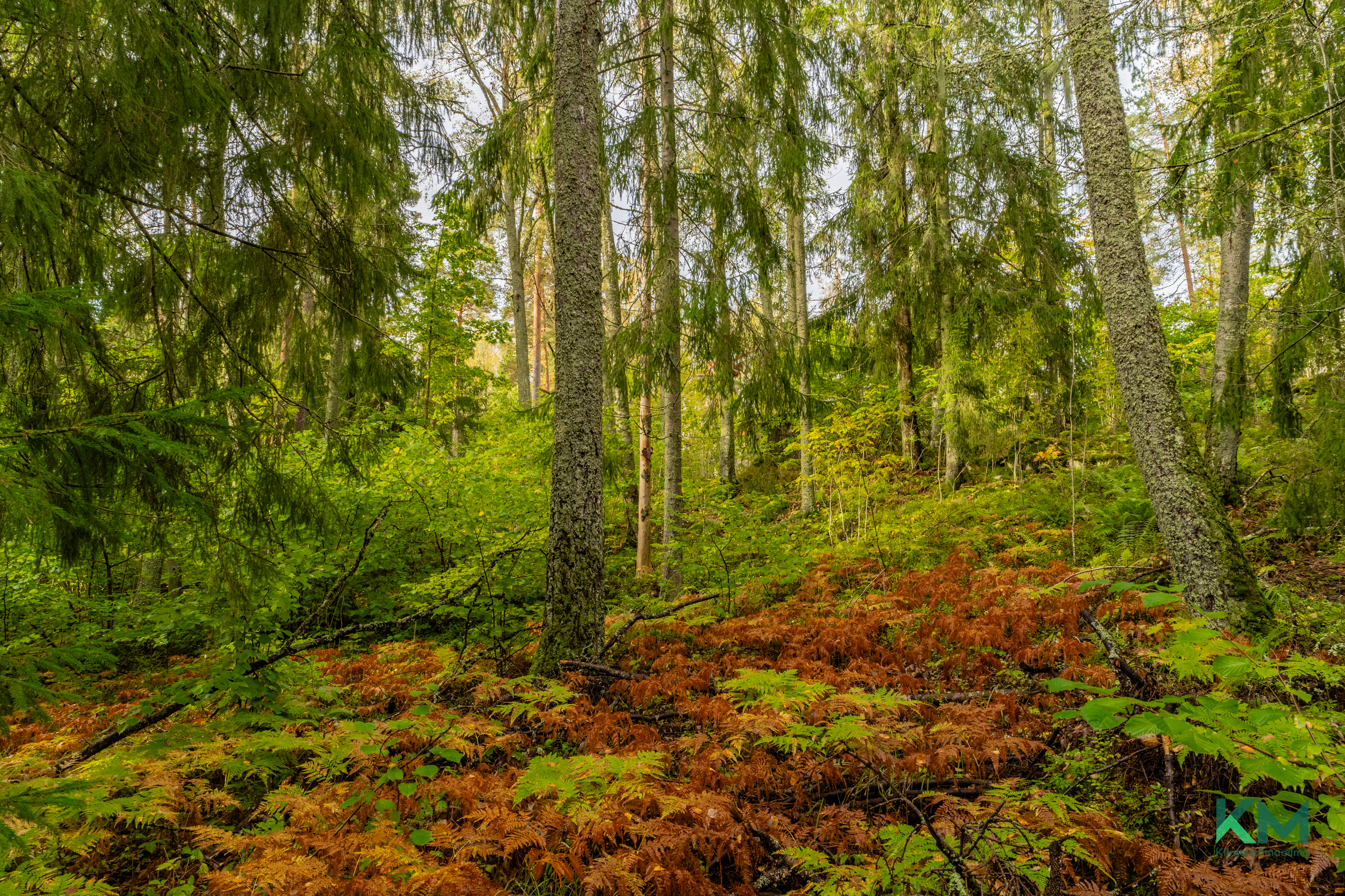 Ensionmäki 14, Kirkkonummi