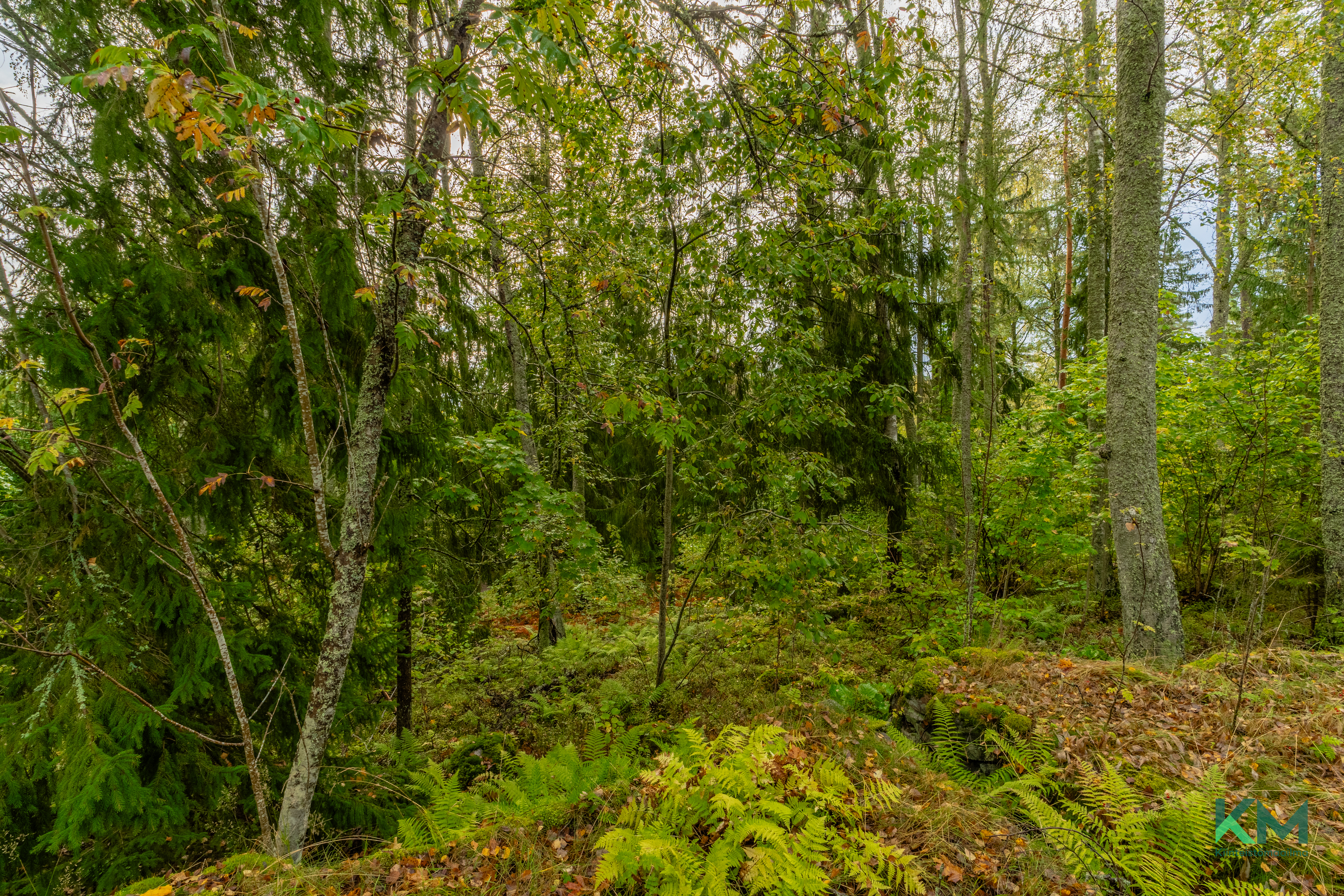 Ensionmäki 14, Kirkkonummi