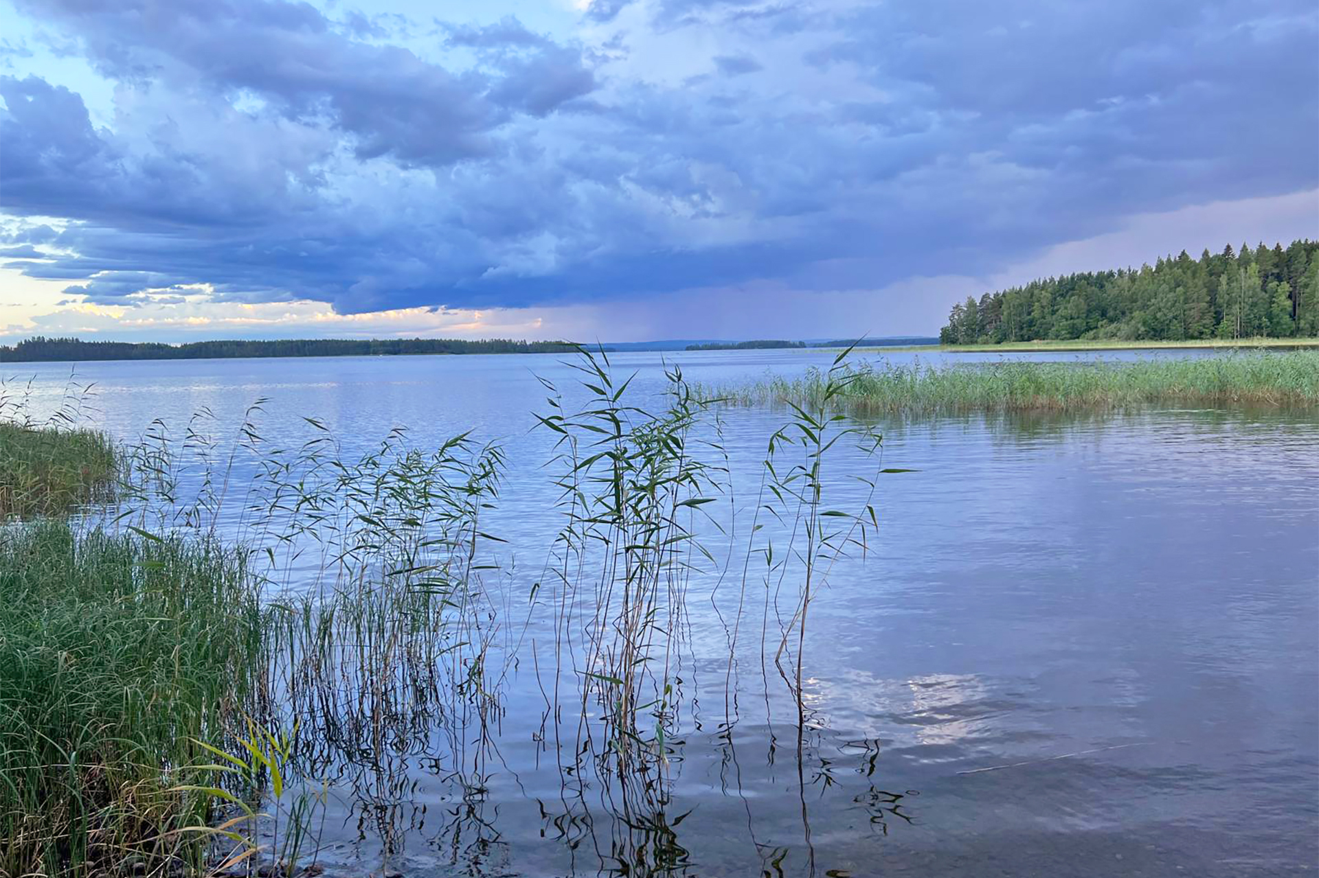 Lokkisaari, Pohjois-Kallavesi Siilinjärvi, Kehvo, Pohjois-Kallavesi, Siilinjärvi