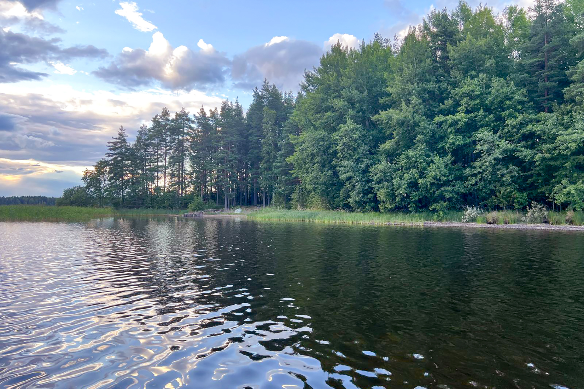 Lokkisaari, Pohjois-Kallavesi Siilinjärvi, Kehvo, Pohjois-Kallavesi, Siilinjärvi
