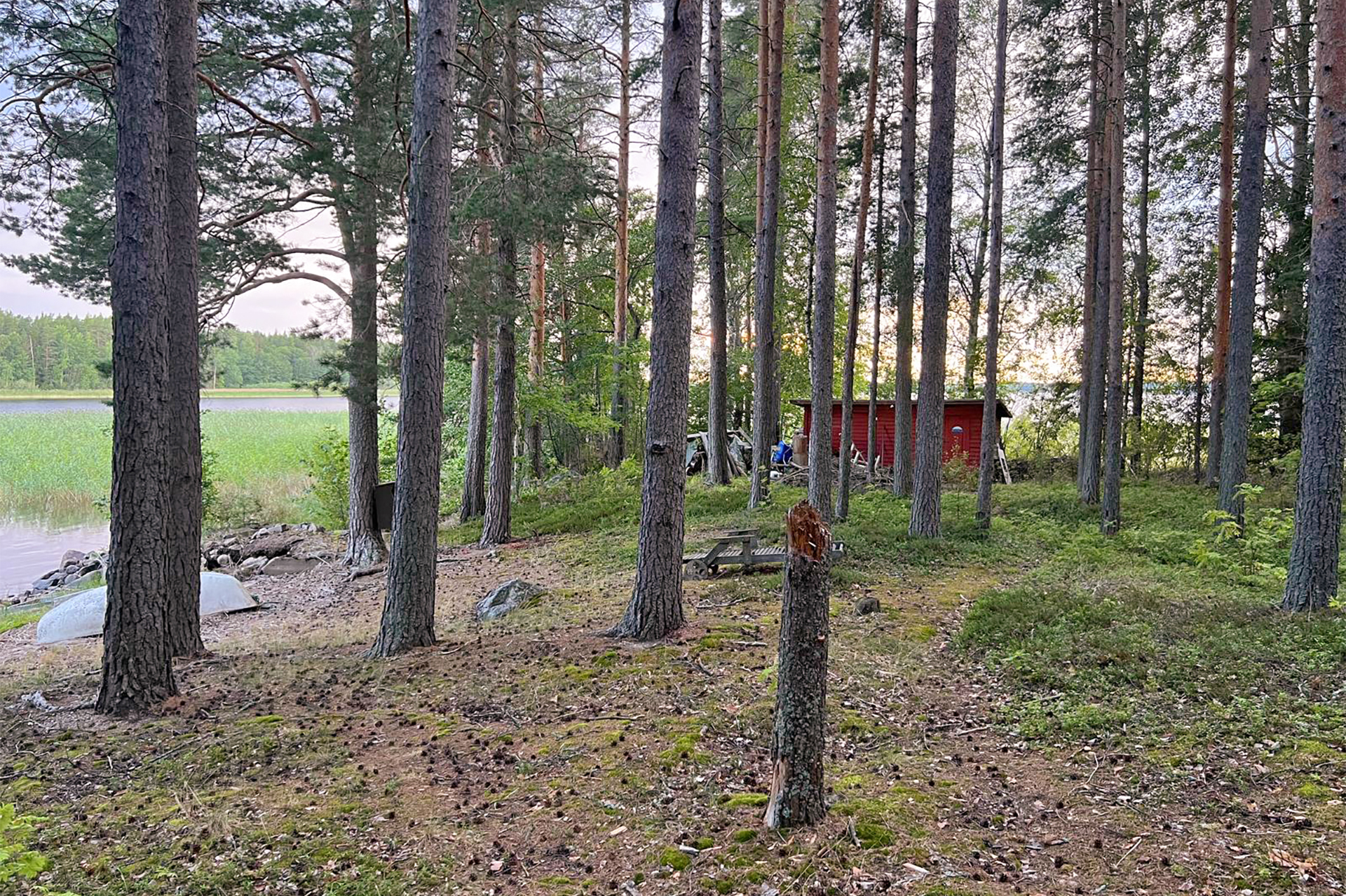 Lokkisaari, Pohjois-Kallavesi Siilinjärvi, Kehvo, Pohjois-Kallavesi, Siilinjärvi