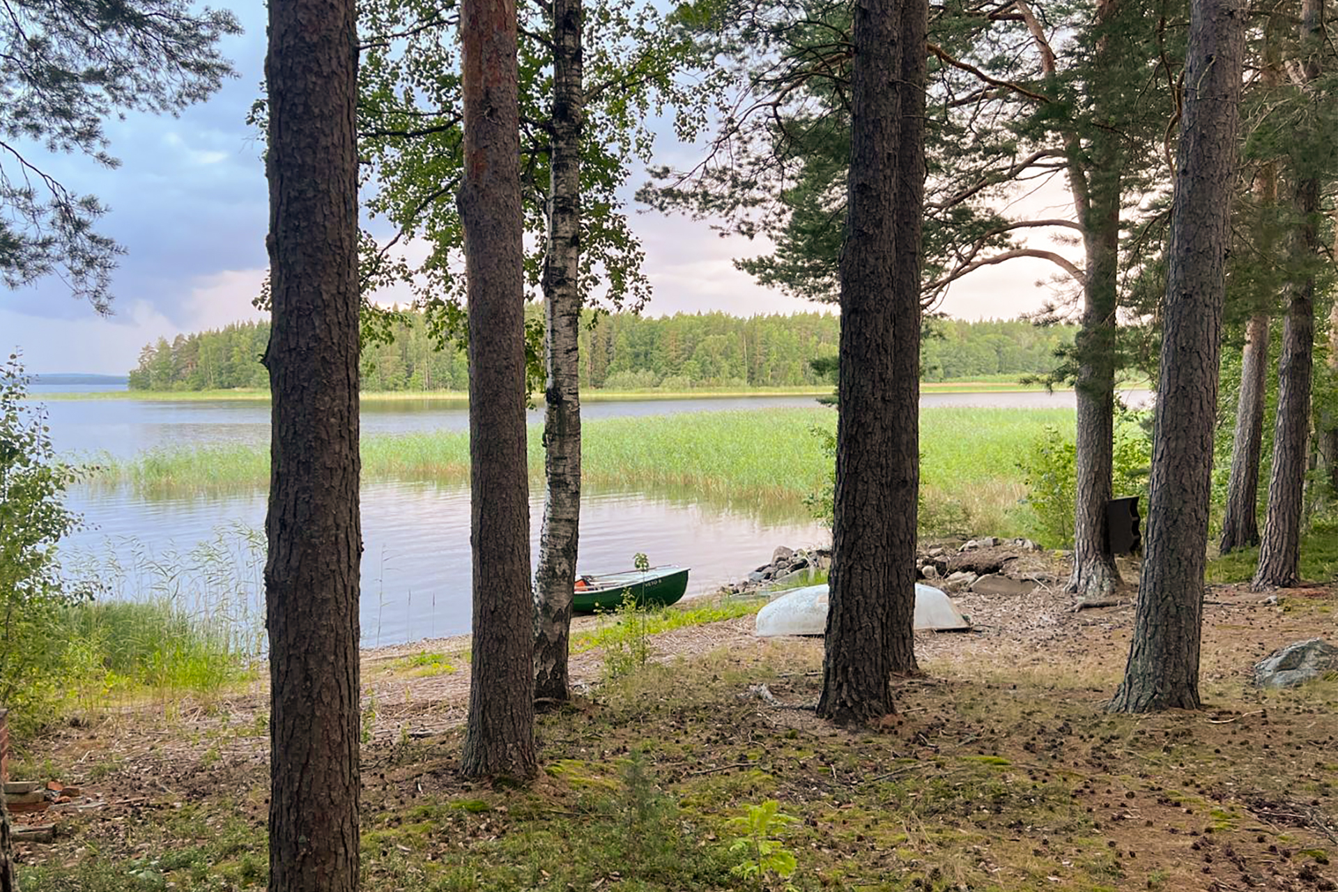Lokkisaari, Pohjois-Kallavesi Siilinjärvi, Kehvo, Pohjois-Kallavesi, Siilinjärvi