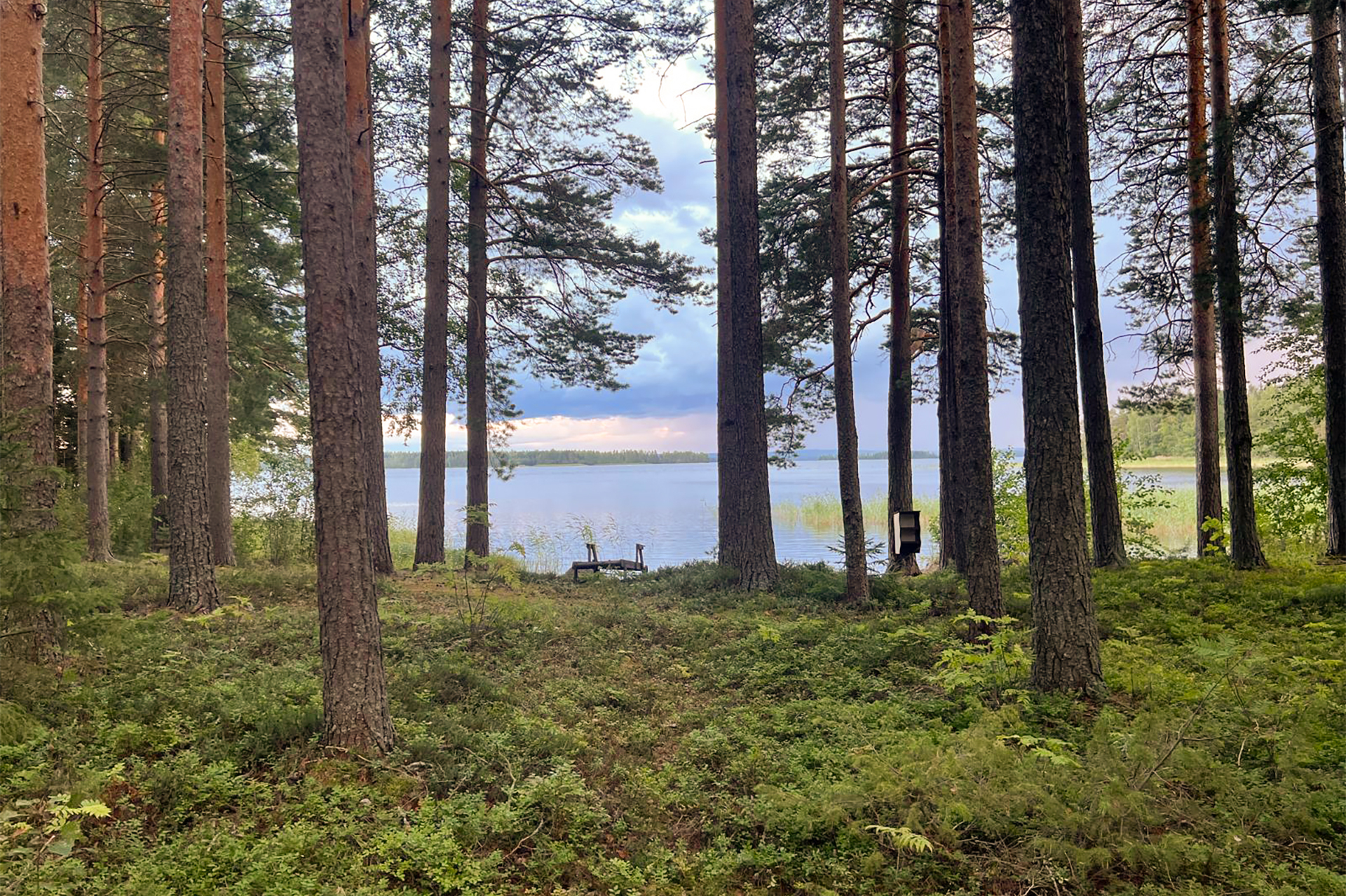 Lokkisaari, Pohjois-Kallavesi Siilinjärvi, Kehvo, Pohjois-Kallavesi, Siilinjärvi