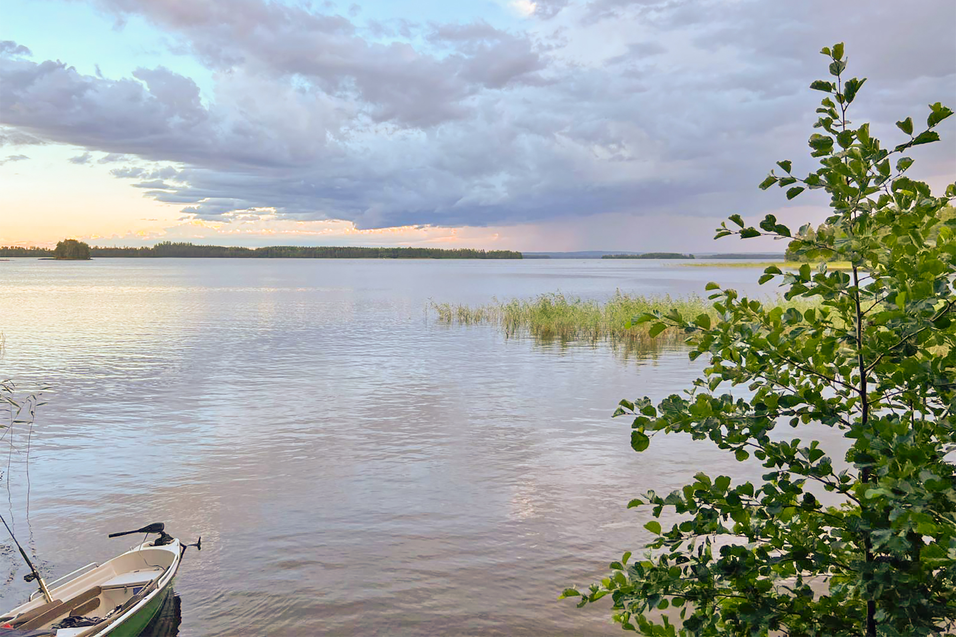 Lokkisaari, Pohjois-Kallavesi Siilinjärvi, Kehvo, Pohjois-Kallavesi, Siilinjärvi