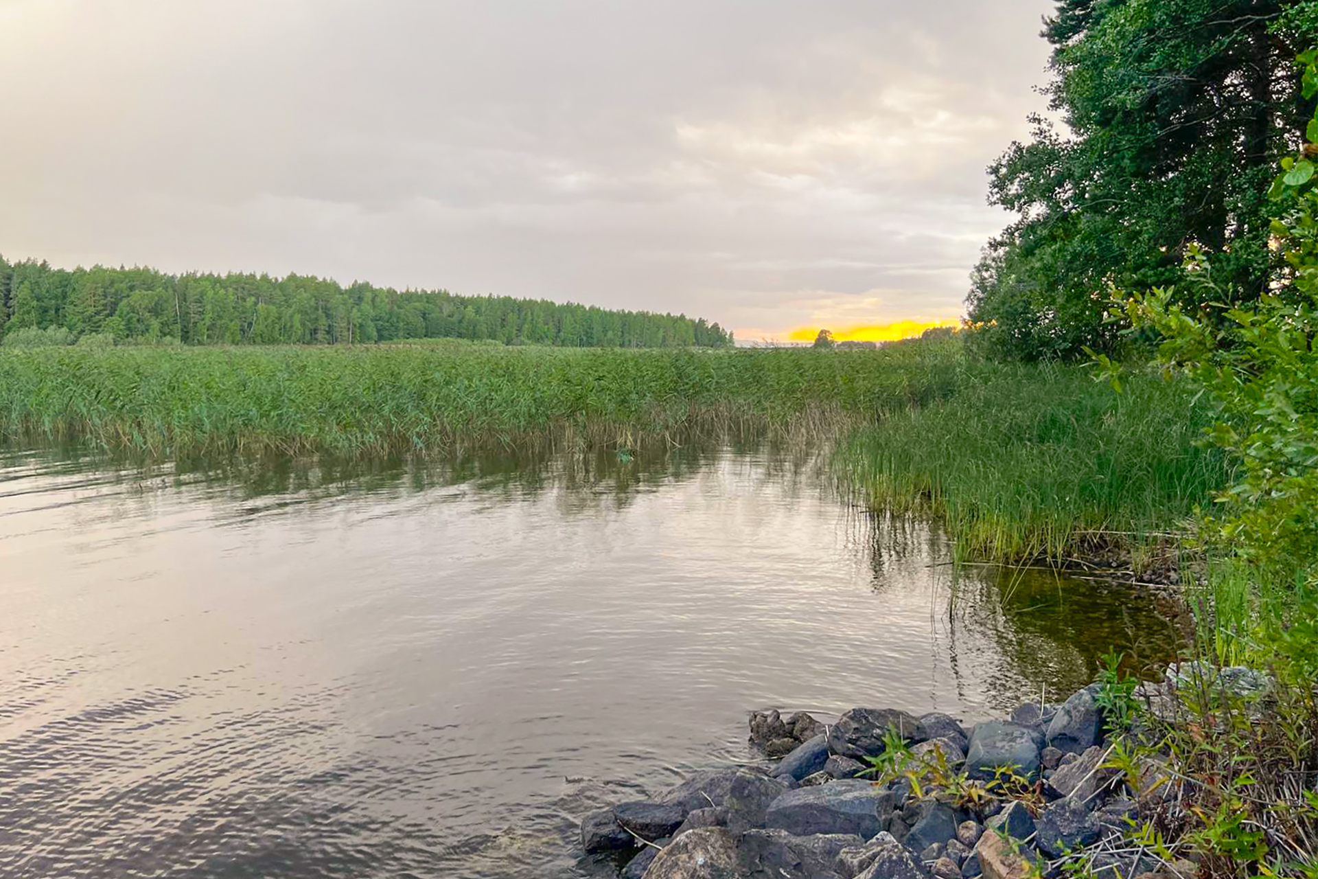 Lokkisaari, Pohjois-Kallavesi Siilinjärvi, Kehvo, Pohjois-Kallavesi, Siilinjärvi