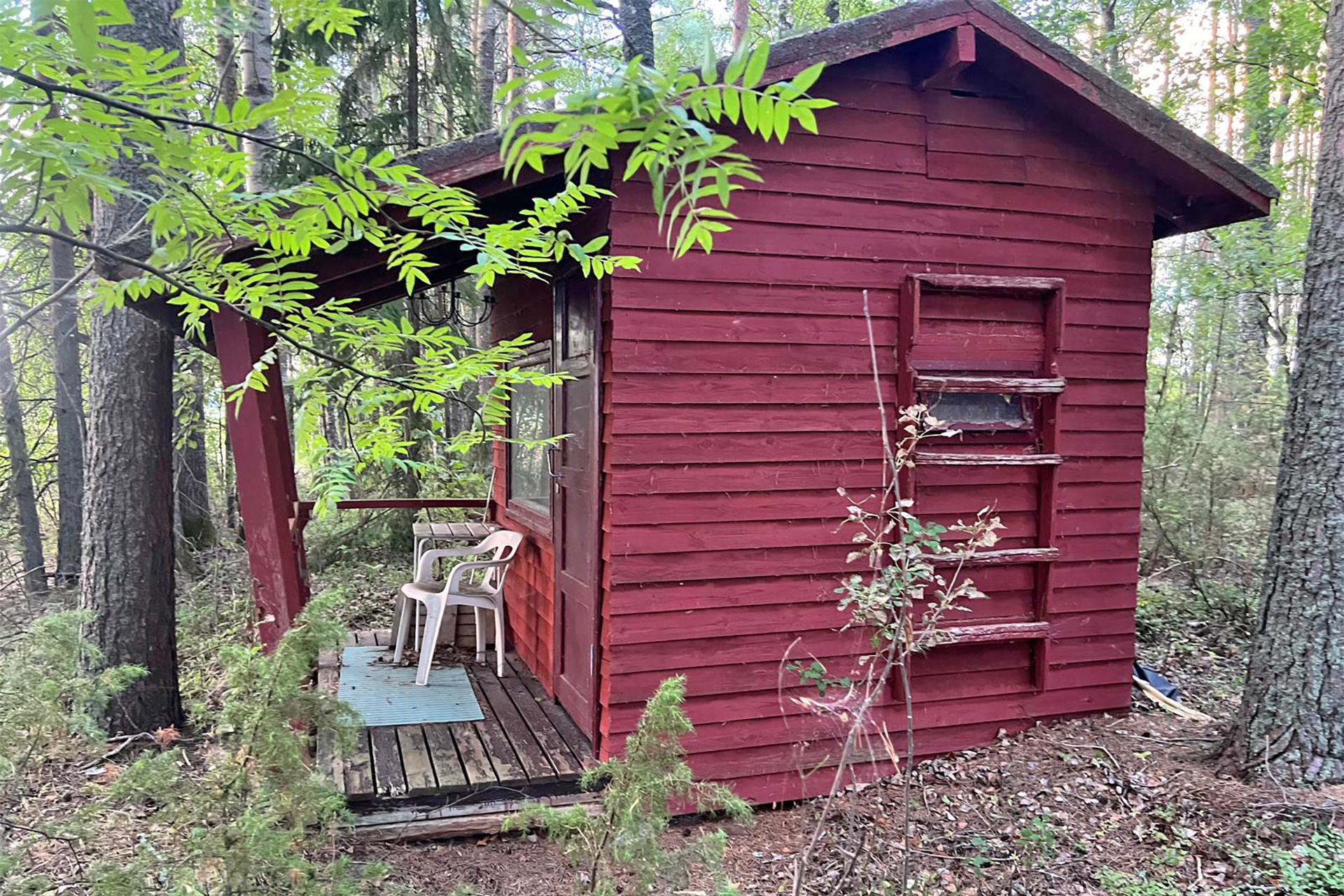 Lokkisaari, Pohjois-Kallavesi Siilinjärvi, Kehvo, Pohjois-Kallavesi, Siilinjärvi