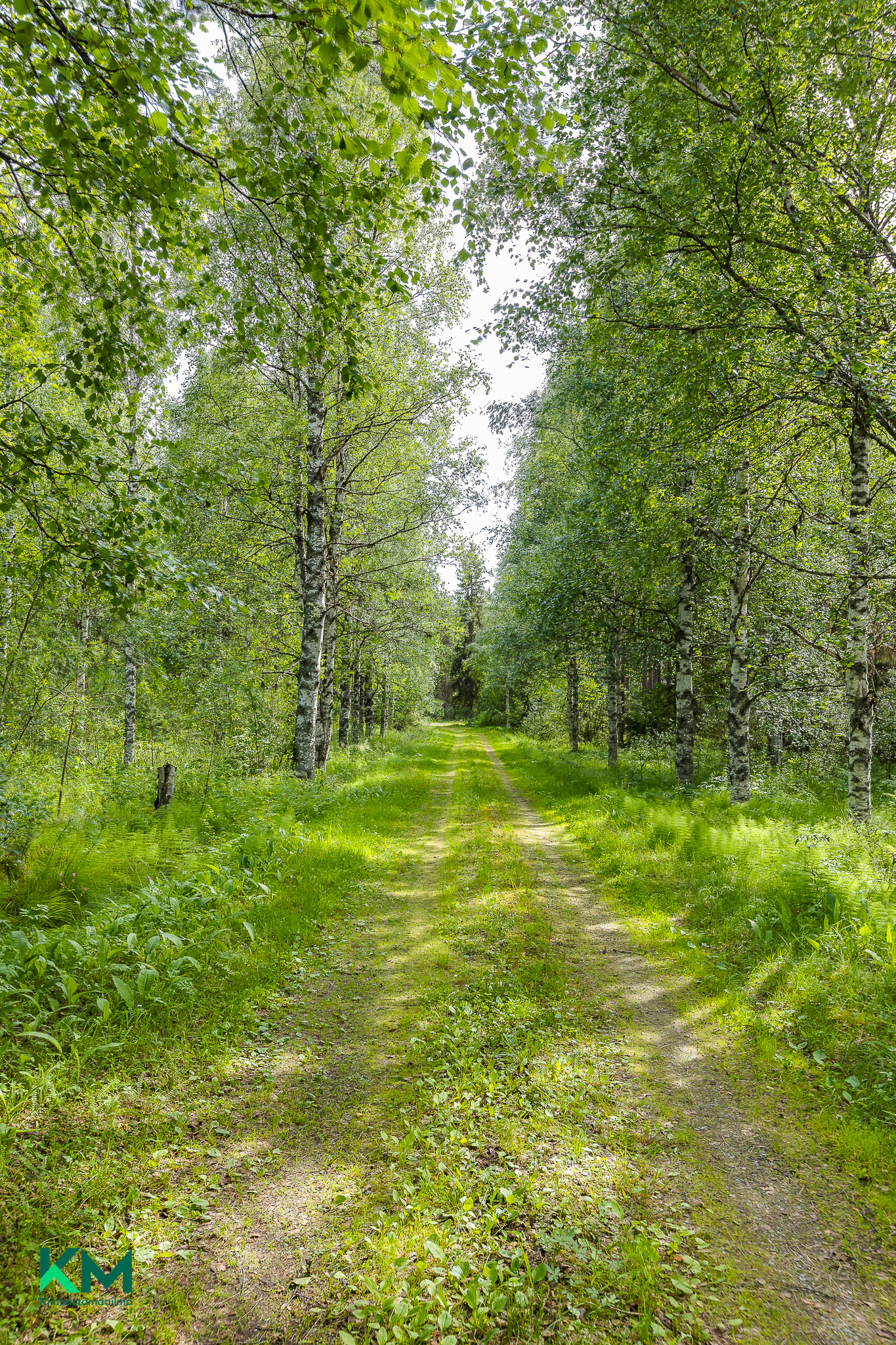 Järvikyläntie 382, Järvikylä, Vaala