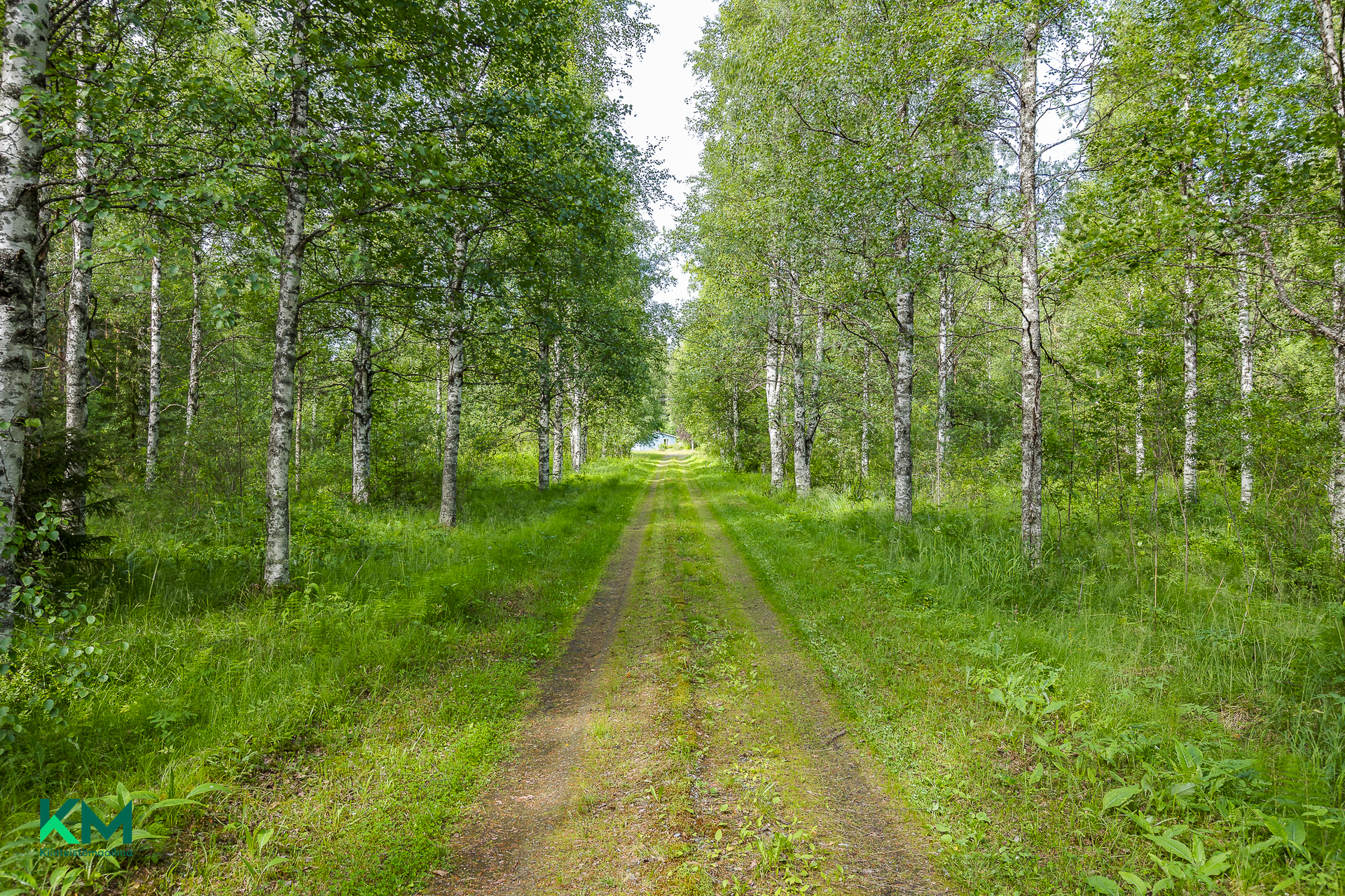 Järvikyläntie 382, Järvikylä, Vaala