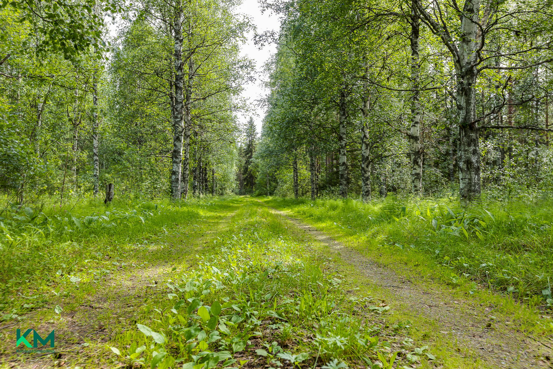 Järvikyläntie 382, Järvikylä, Vaala