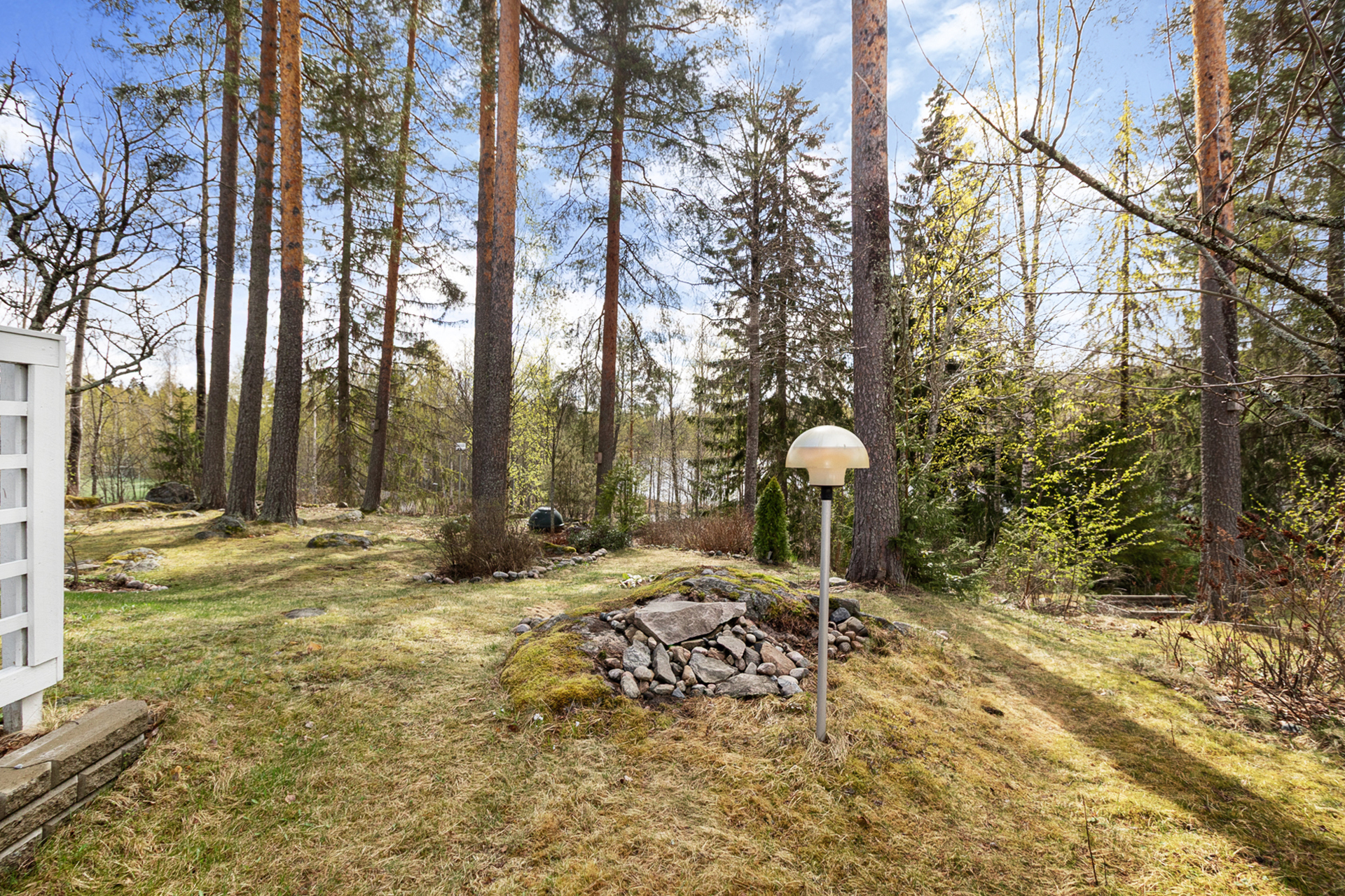 Takapihalta näkymä lammelle päin.