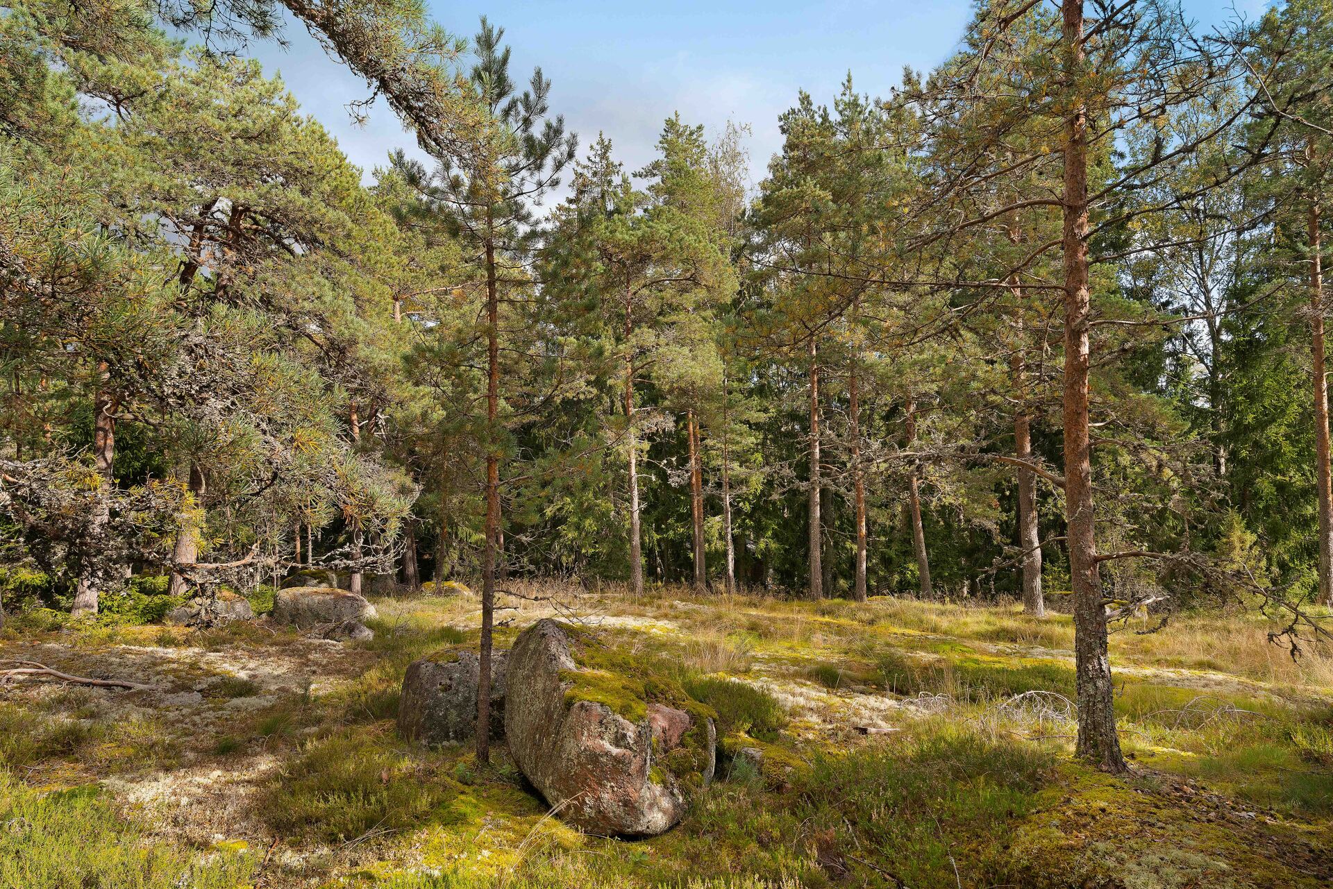 Viehekuja 11, Veklahti, Kirkkonummi