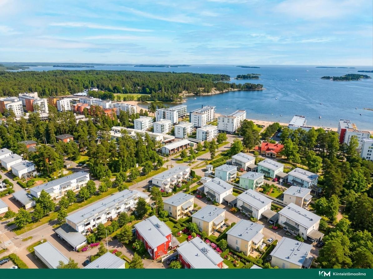 AI kuvakäsittely alueen yleiskuva