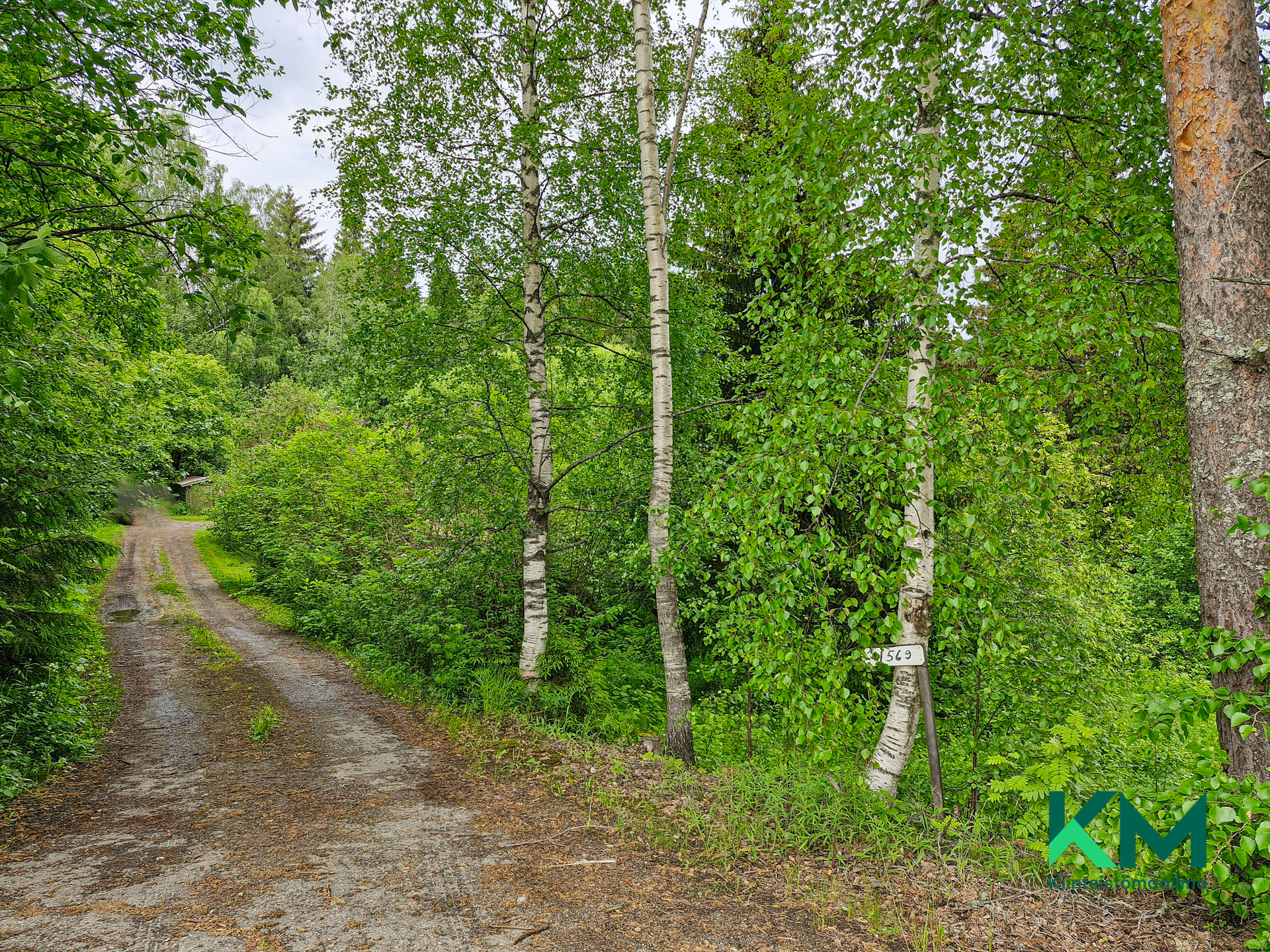 Rantasalmentie 1569, Kallislahti, Savonlinna
