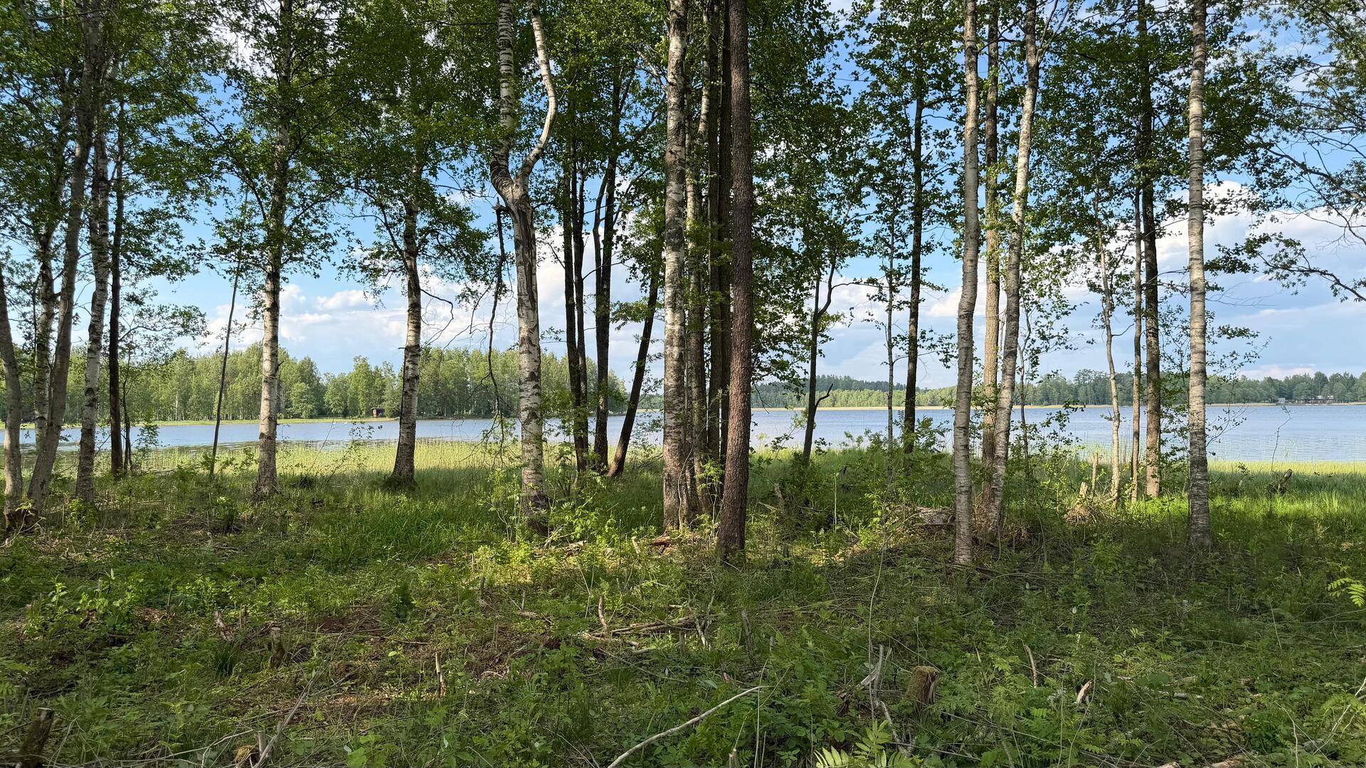 Kaitamontie 295, Pälkäne