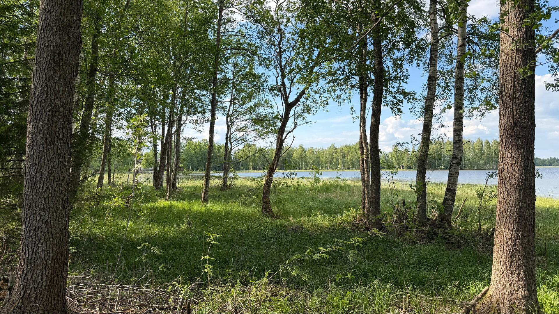 Kaitamontie 295, Pälkäne