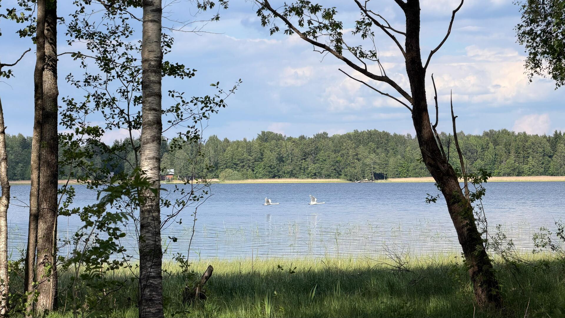 Kaitamontie 295, Pälkäne