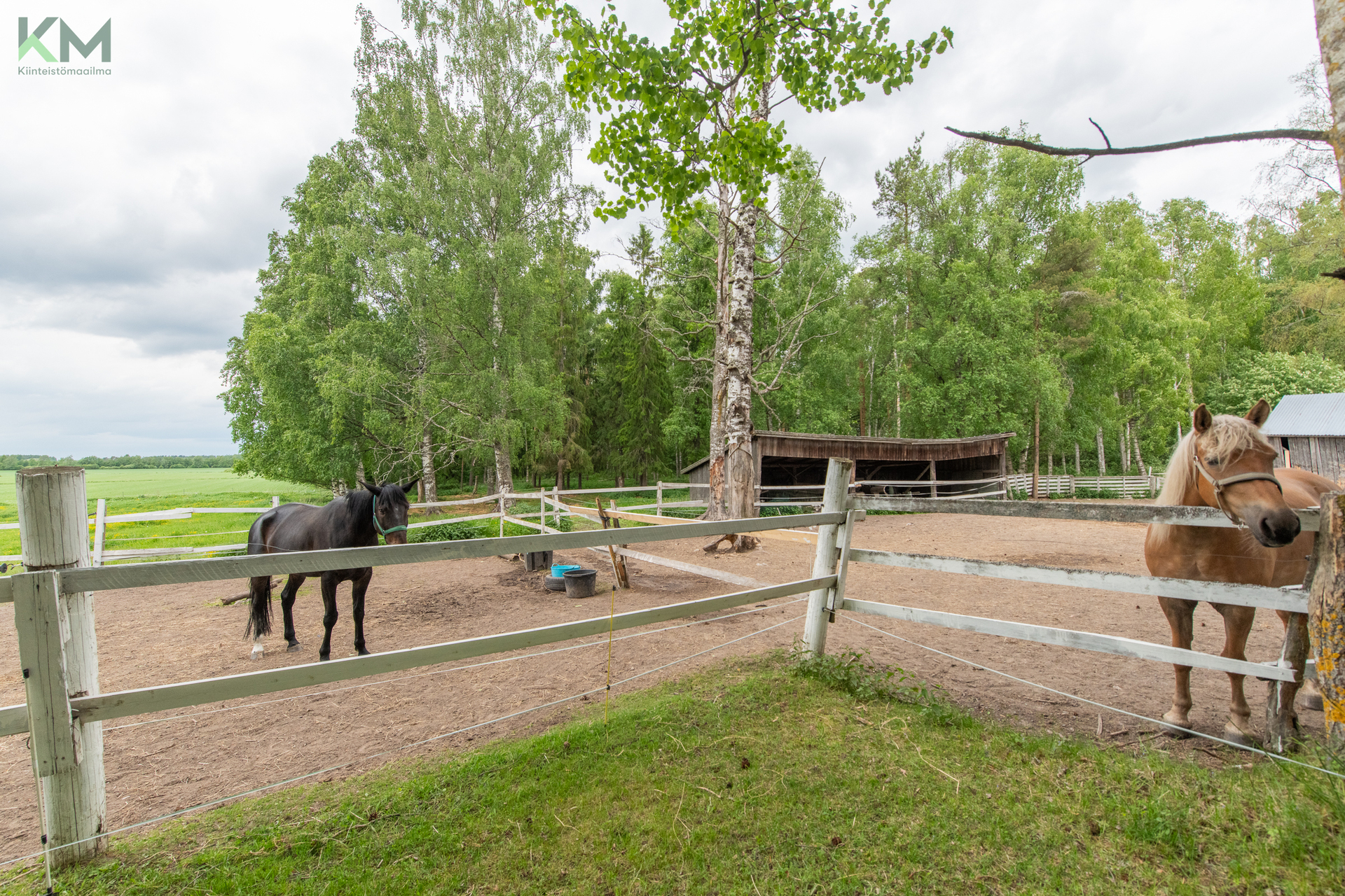 Koivuluomantie 8, Aunes, Seinäjoki
