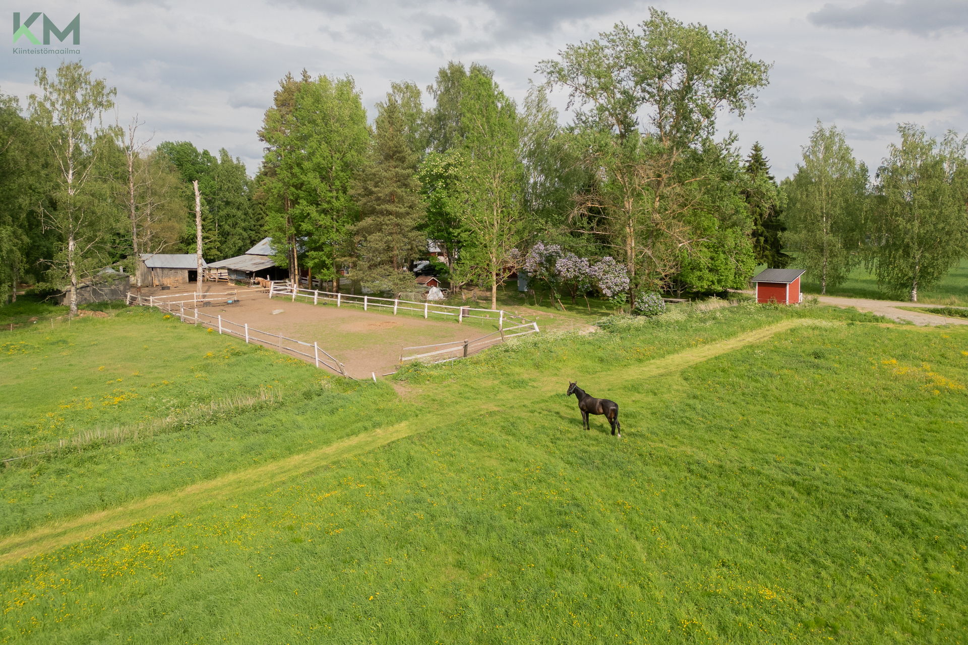 Koivuluomantie 8, Aunes, Seinäjoki