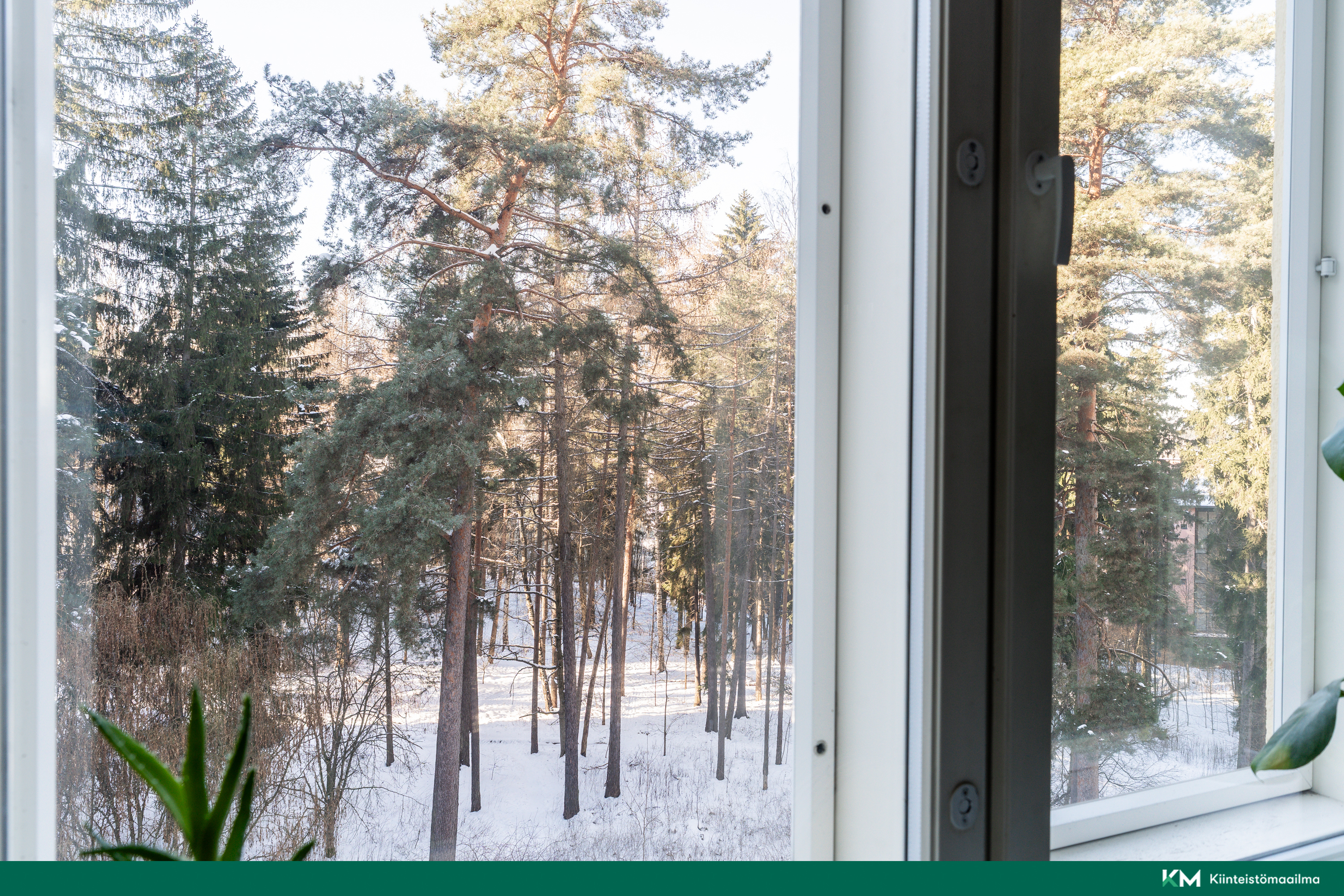 Pihlajatie 38, Meilahti, Helsinki