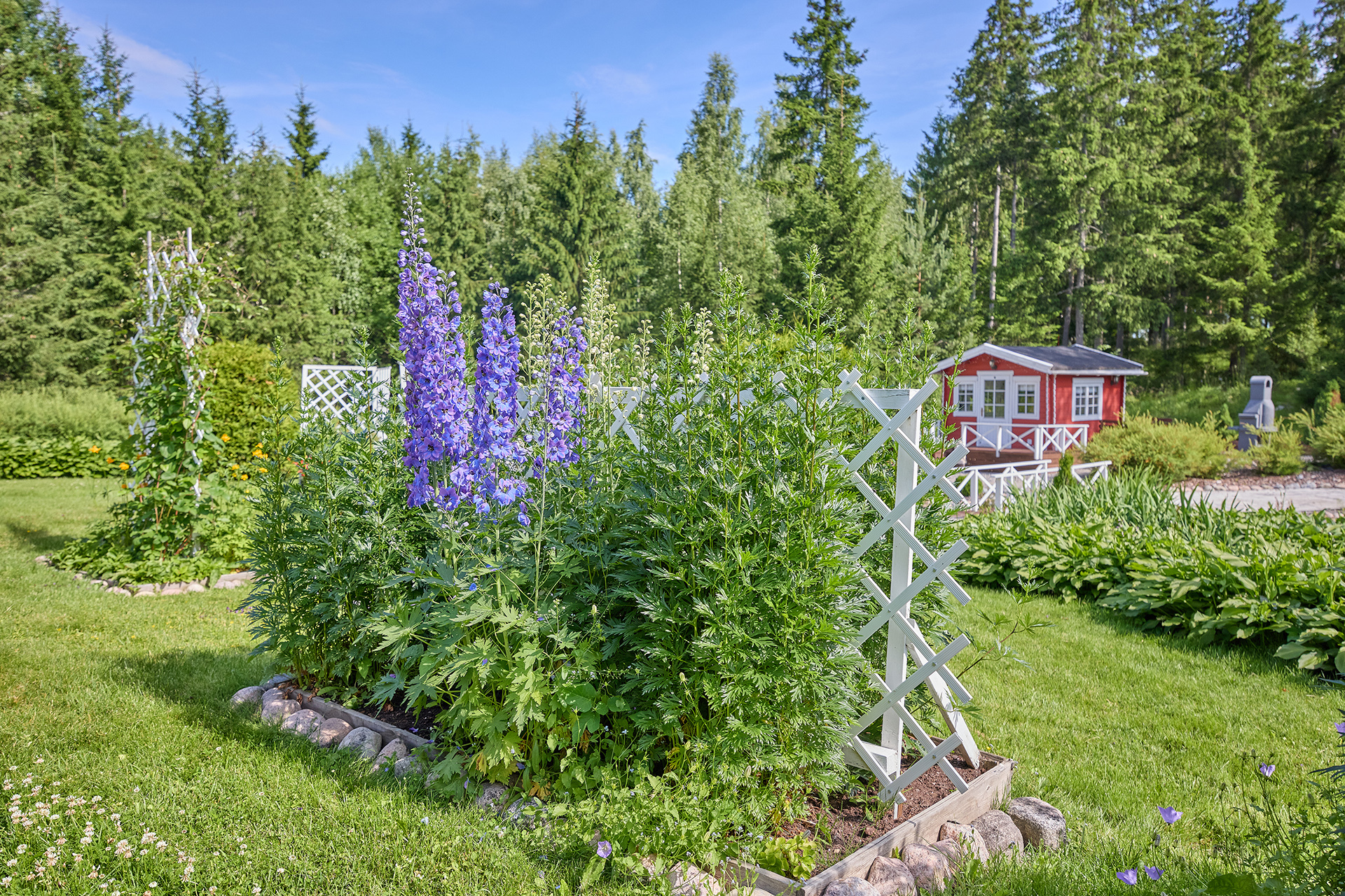 Sapelitie 25, Hongisto, Lohja