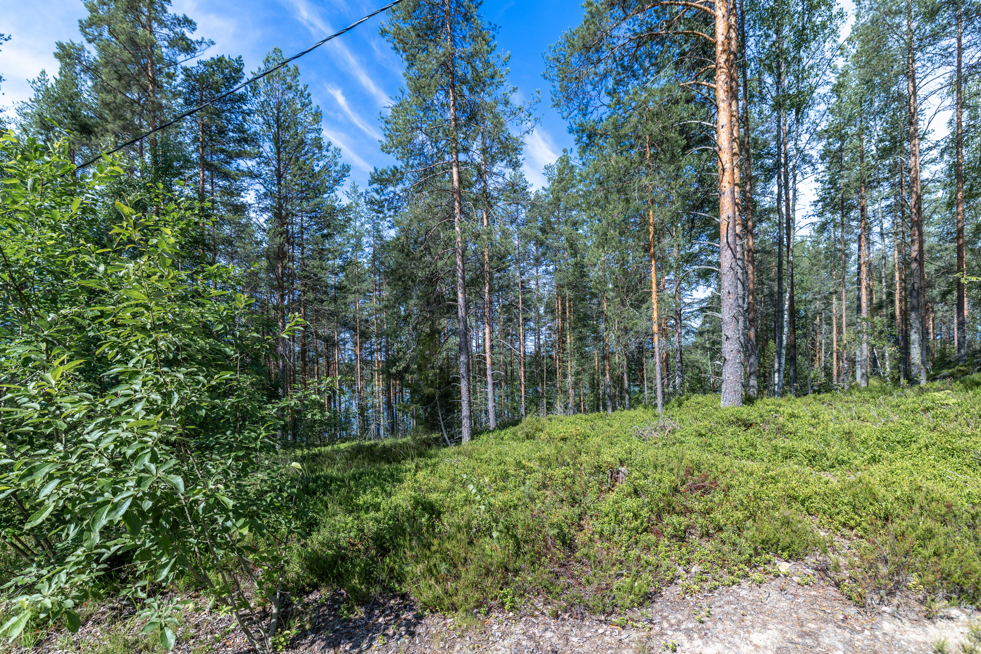 Mustasaarentie, Puumala