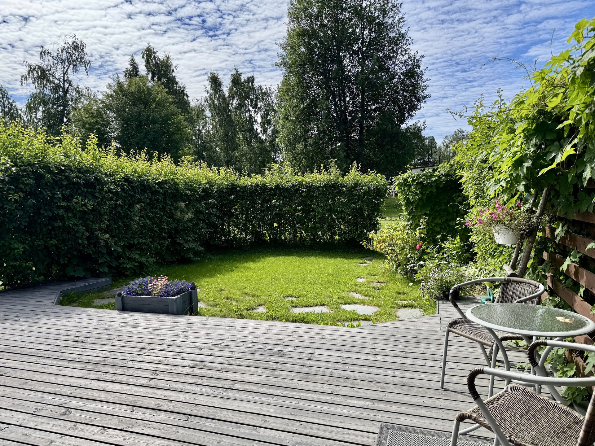 Viehättävä piha