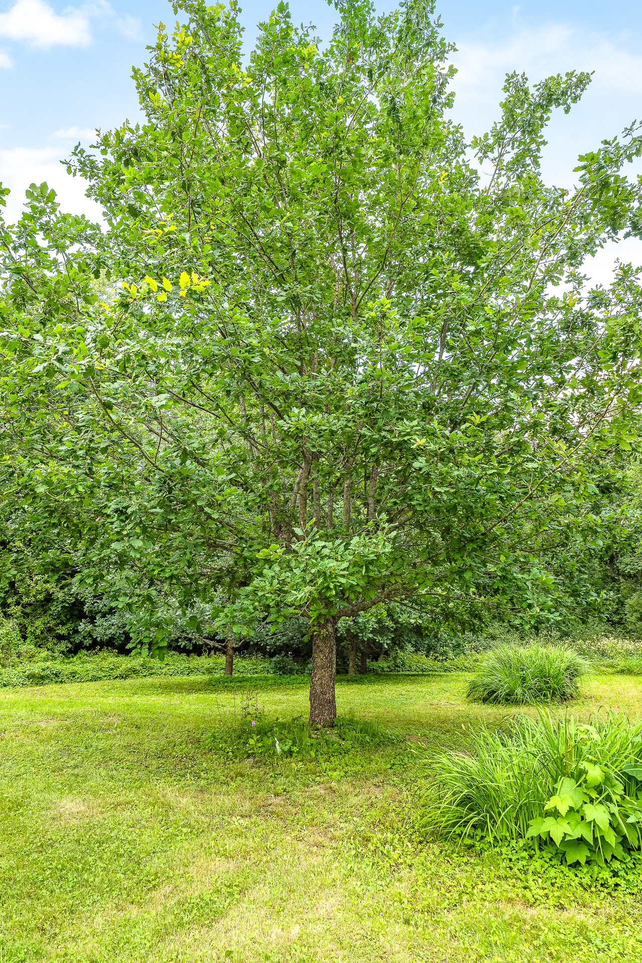 Nötterdalen 34, Nötterdalen, Inkoo