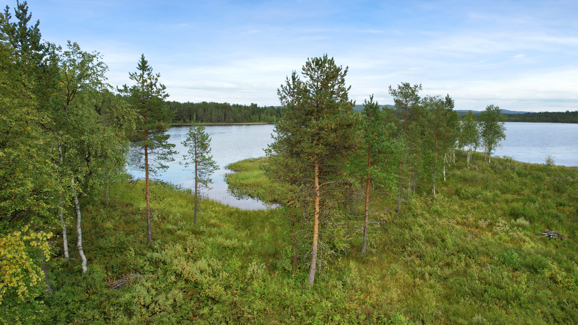 Kotajärvi