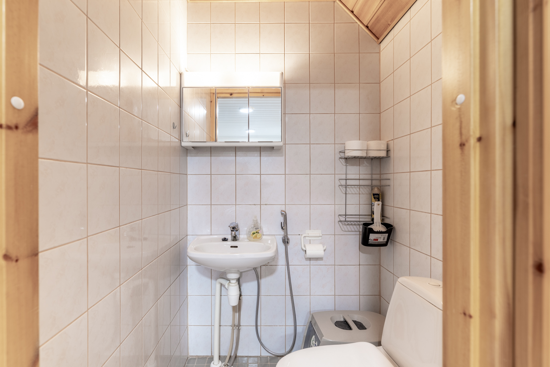 Alakerran erillinen wc