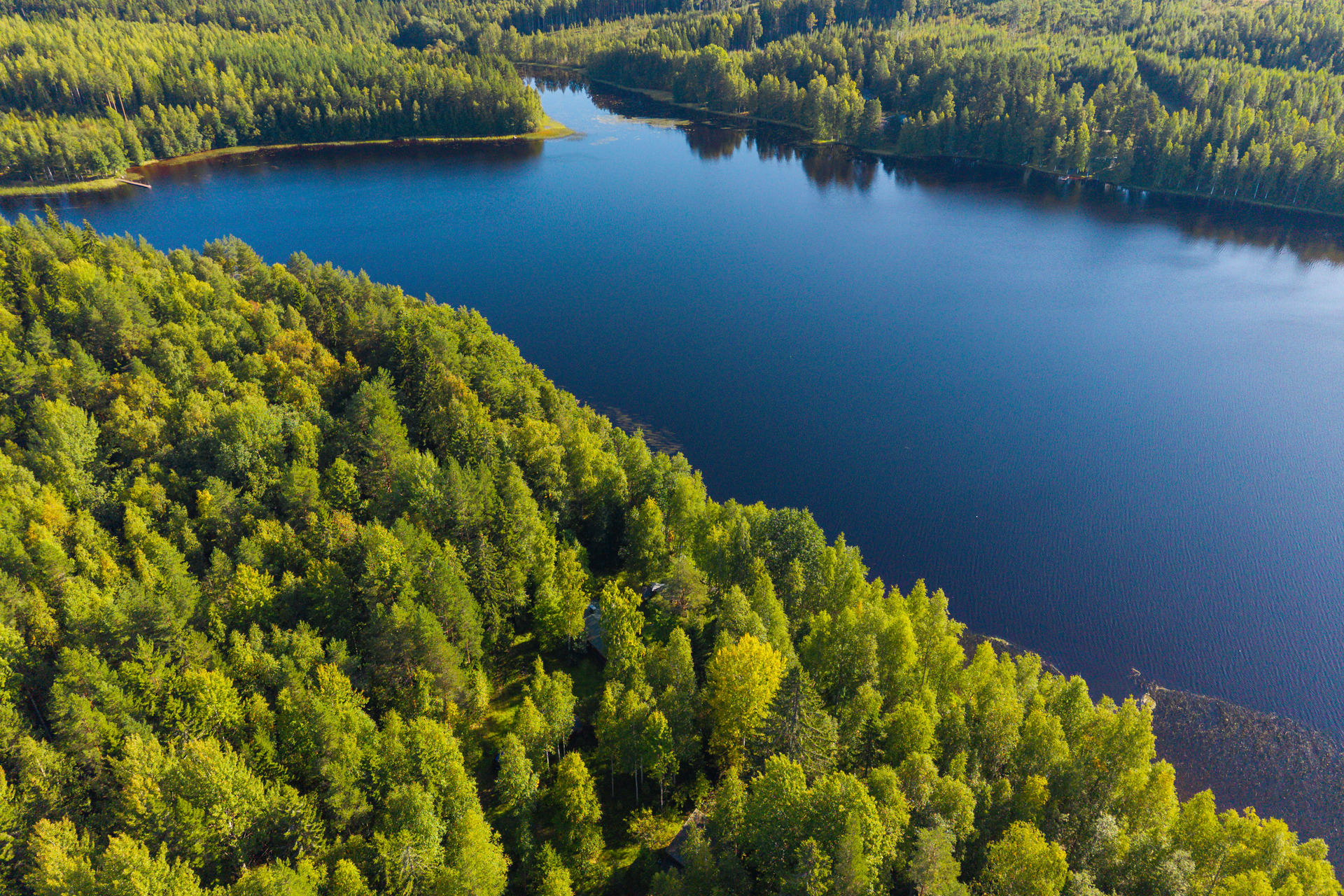 Toivolantie , Sauvamäki, Hankasalmi