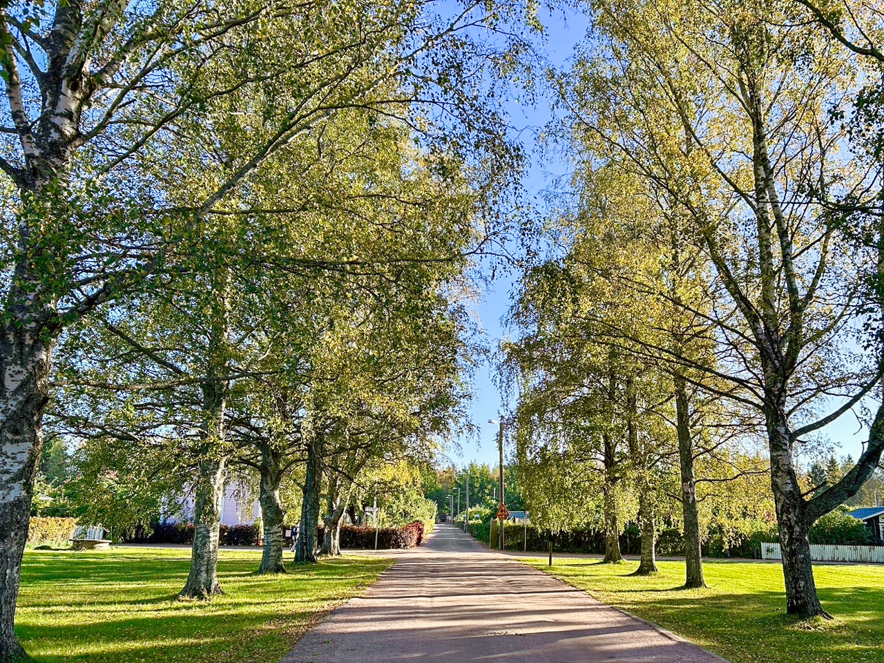 Pääpolku.